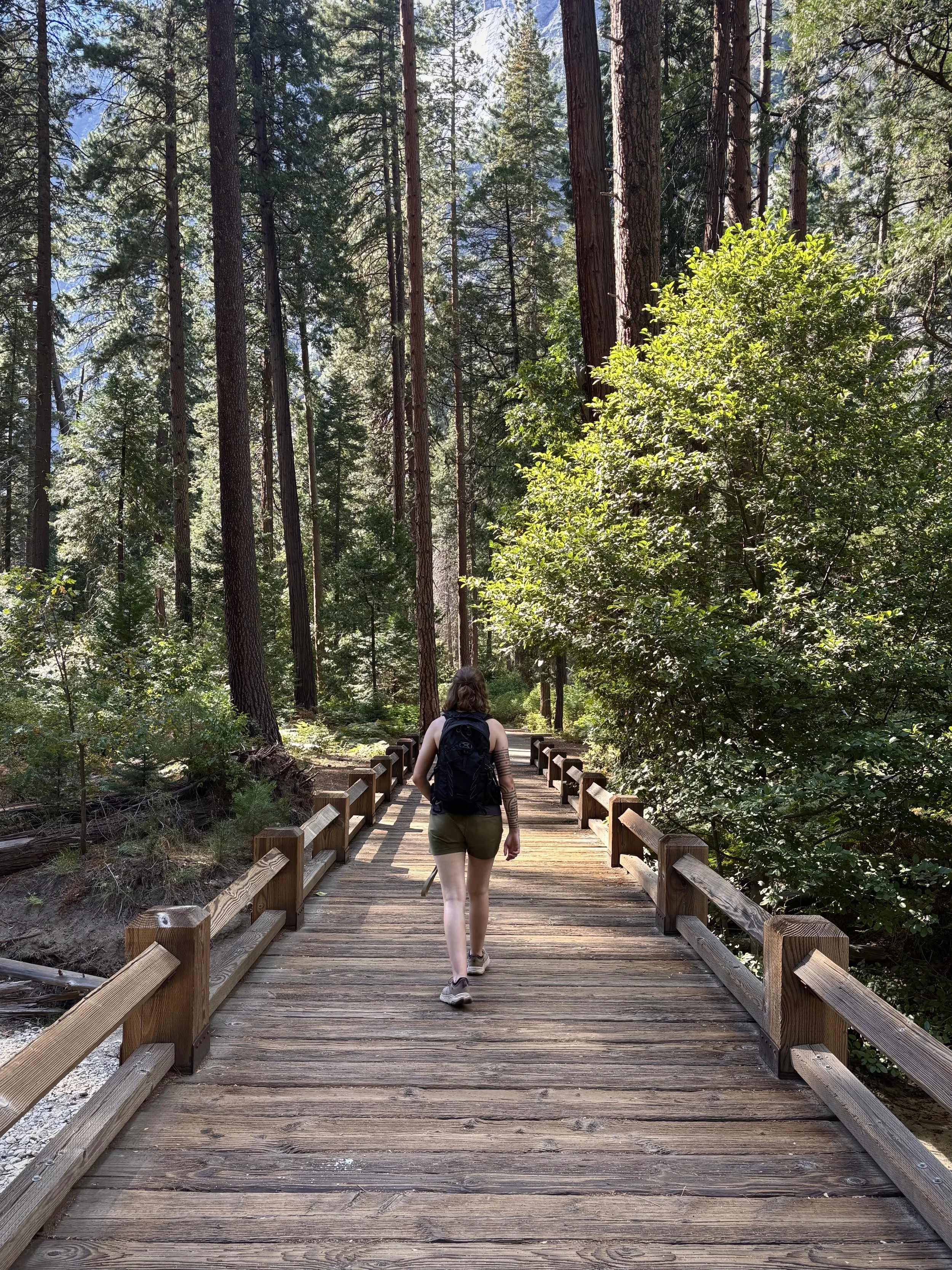 A person walking on a wooden board walk trail through a forest filled with tall trees and green foliage.