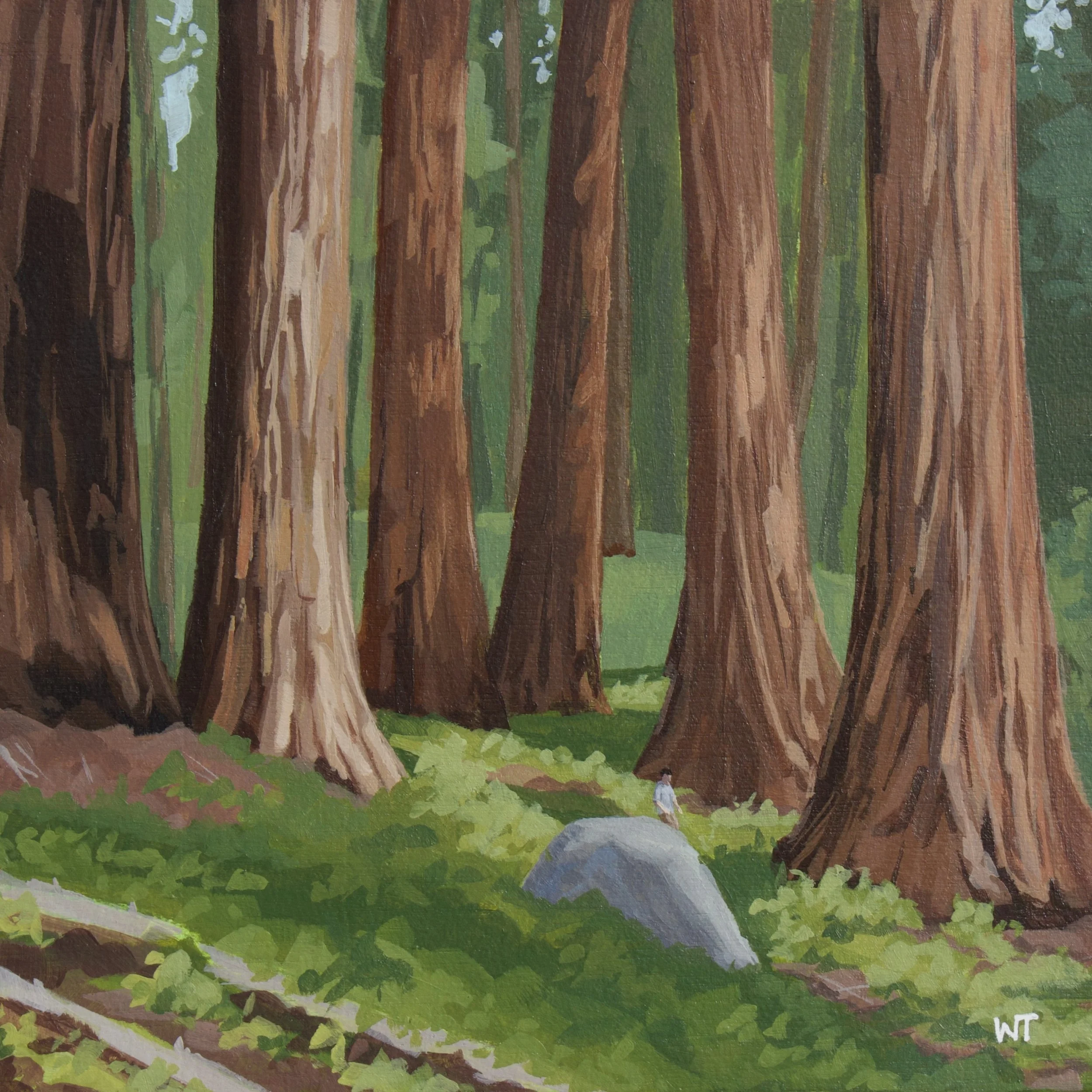 Giant Sequoias