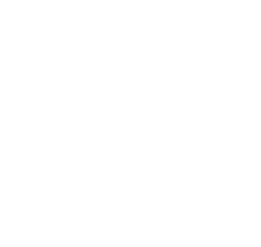 The image is blank with no visible objects or scenery.