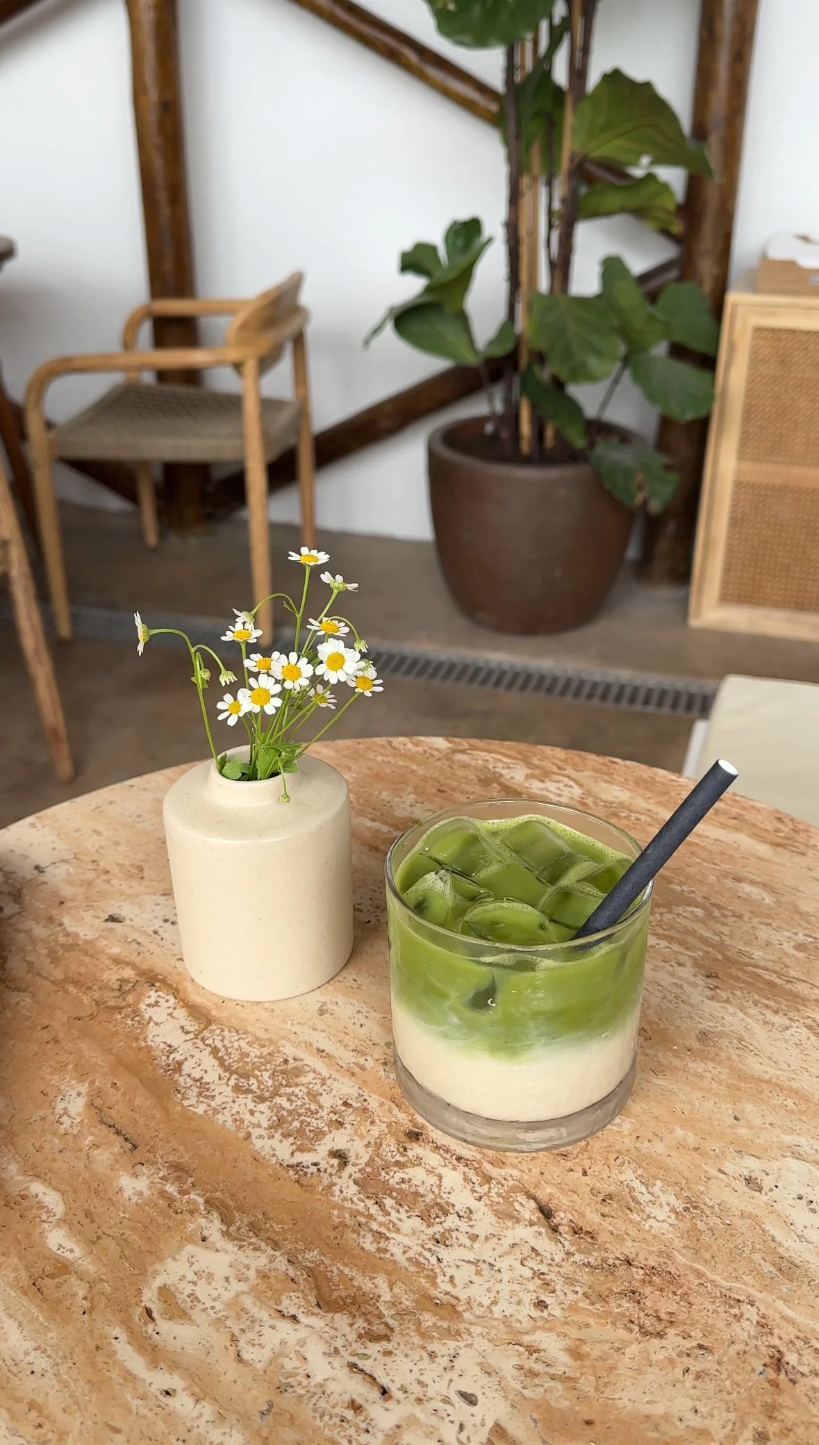 A marble table with a layered matcha latte and a small beige vase with daisies, in a cozy indoor setting with wooden chairs and a large potted plant in the background.