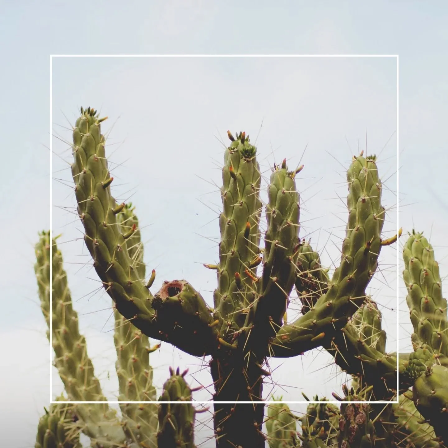 N&atilde;o, n&atilde;o est&aacute; tudo bem. Mas est&aacute;, claro...! Vivemos tempos estranhos, de grande confus&atilde;o, indecis&atilde;o, ru&iacute;do, performance e uma esp&eacute;cie de esquizofrenia coletiva. E n&atilde;o, n&atilde;o costumo 