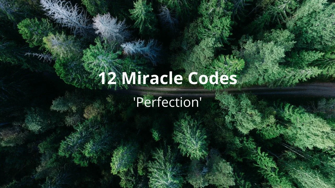 Miracle Codes are holographic logos or titles of beings who control a sun in the universe- an extension of the Great Central Sun that governs our universe. 
You can explore this concept further within the Hearts on Fire Membership, a one of a kind, o
