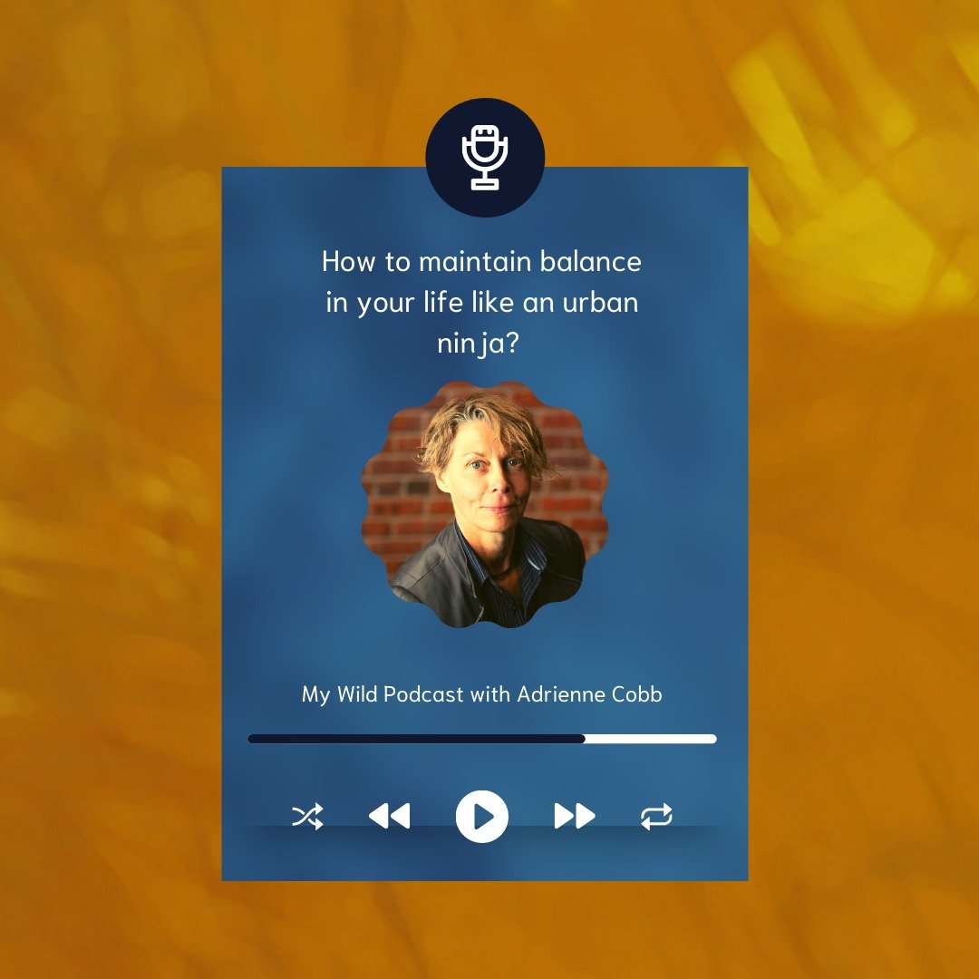This week on the My Wild Magic Podcast: How to maintain balance in your life like an urban ninja? 
🌀Keep an eye out for my Story for the Live link at 2PM PT/5 PM ET

Join me for another spellbinding episode of My Wild Magic with Adrienne

👉Listen L