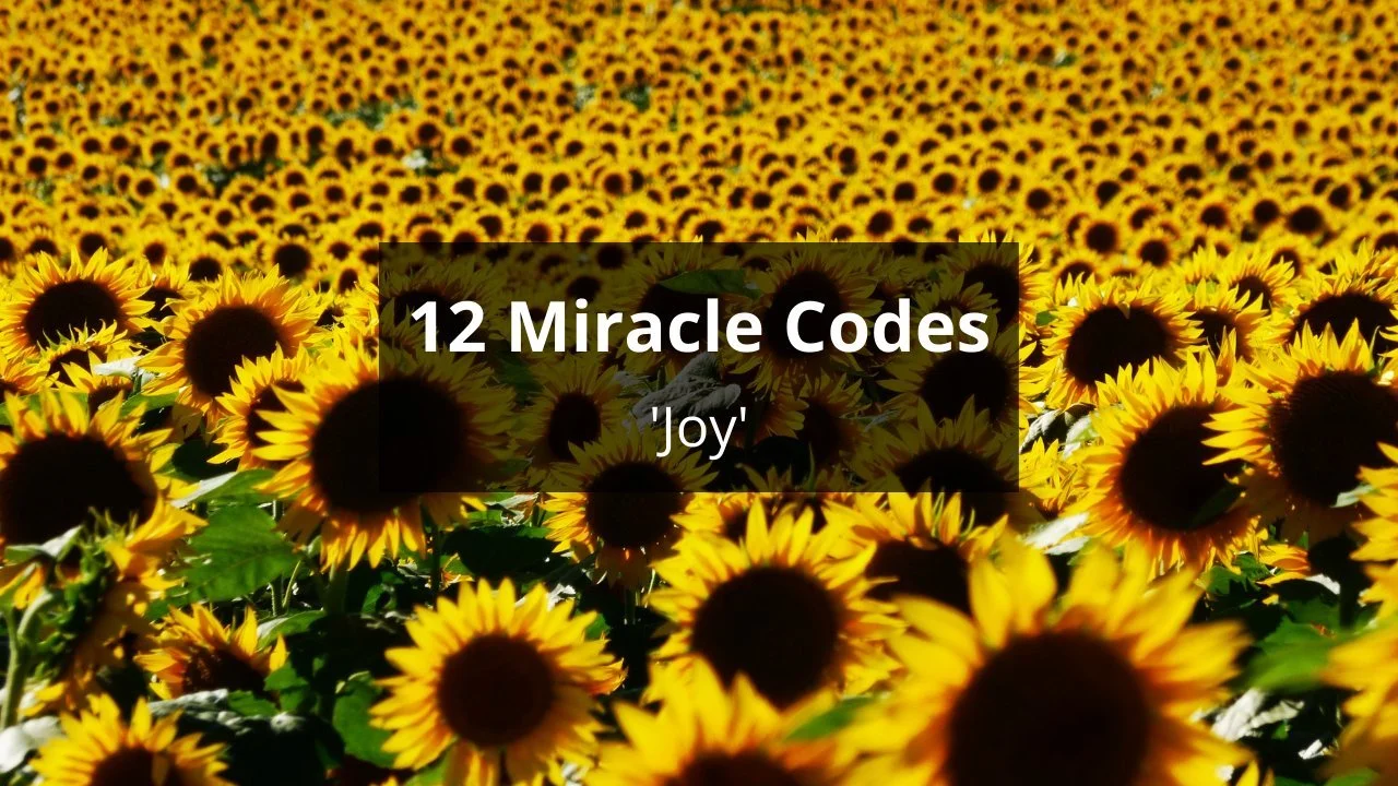 Miracle Codes are holographic logos or titles of beings who control a sun in the universe- an extension of the Great Central Sun that governs our universe. 
You can explore this concept further within the Hearts on Fire Membership, a one of a kind, o