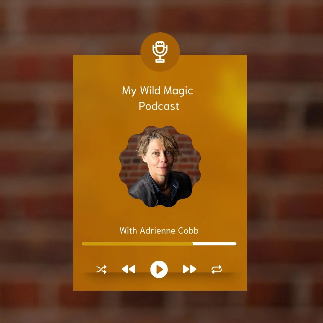 "I chose to stay and received the most incredible gift of my life in the form of helping people to tap into their highest selves and Soul Blueprint."

Join me for another spellbinding episode of My Wild Magic with Adrienne
👉Listen Live Her