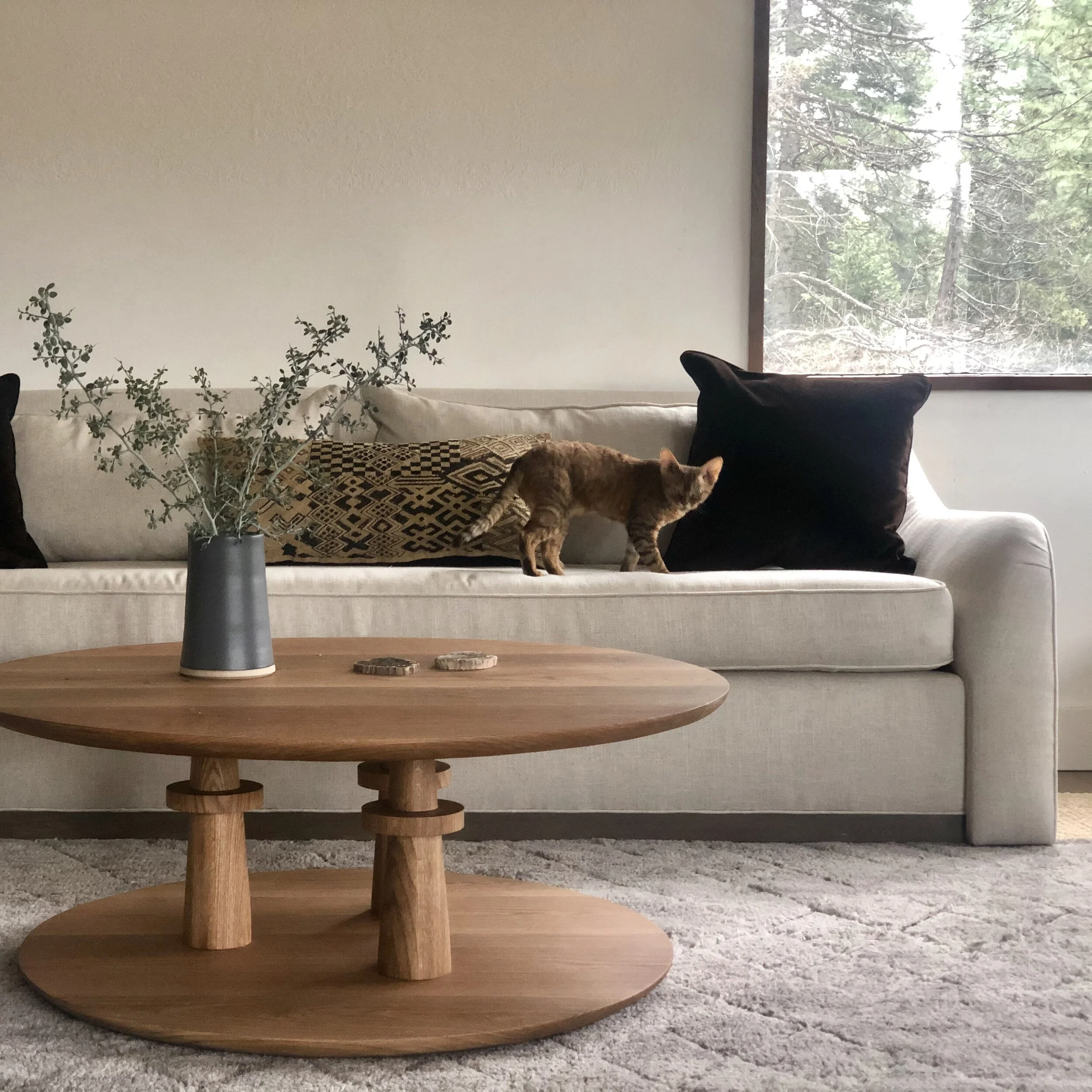 luxury-modern-sofa-for-interior-designers2.jpg