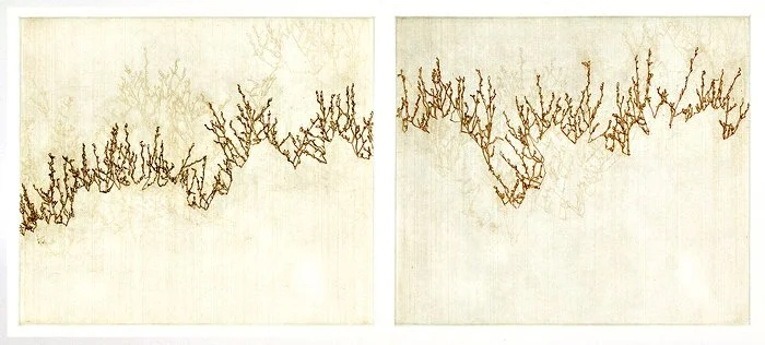  Nif Hodgson 
 delineation 3a/b   [honorable mention] 
multiple-plate etching 
16 x 22 in. 
$1,000