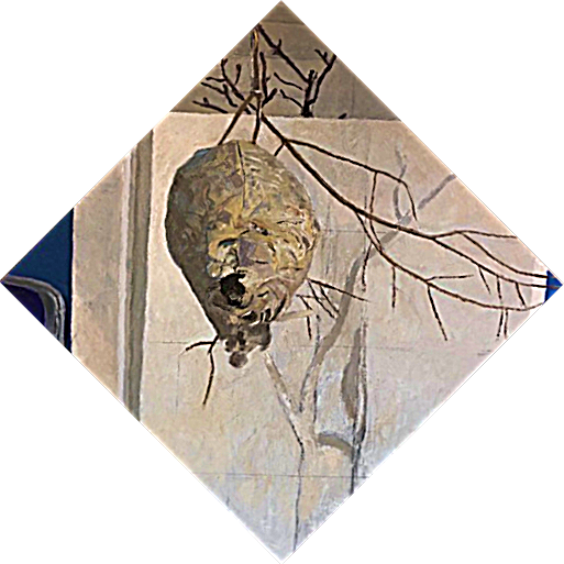  Symmes Gardner 
 Wasp's Nest #1   
oil on canvas 
42 x 42 in. 
NFS