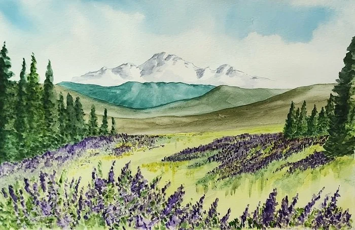  Julie Dreier 
 Olympic Lupines   
watercolor 
18 x 24 in.