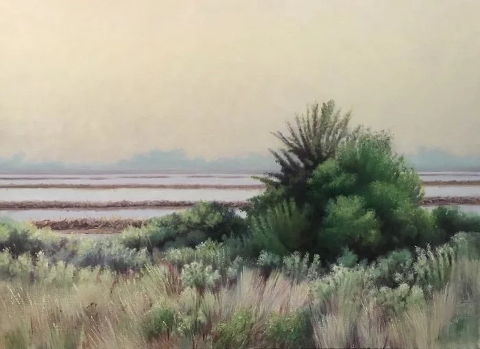  Ken Mazzu 
 Early Morning, West of Taylor Bayou   [honorable mention] 
oil on canvas 
30 x 40 in. 
$3,000