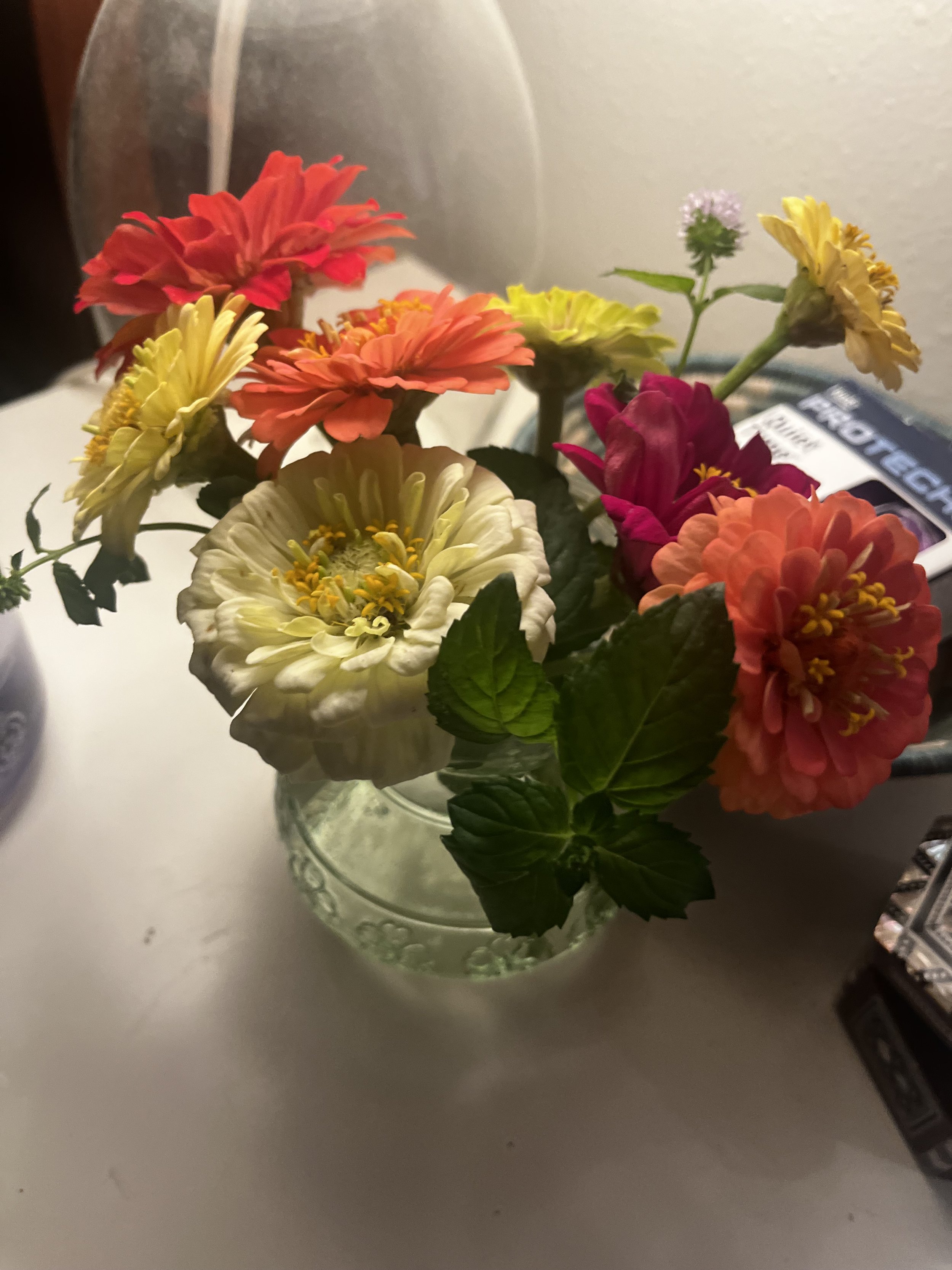 IMG_8514.jpeg