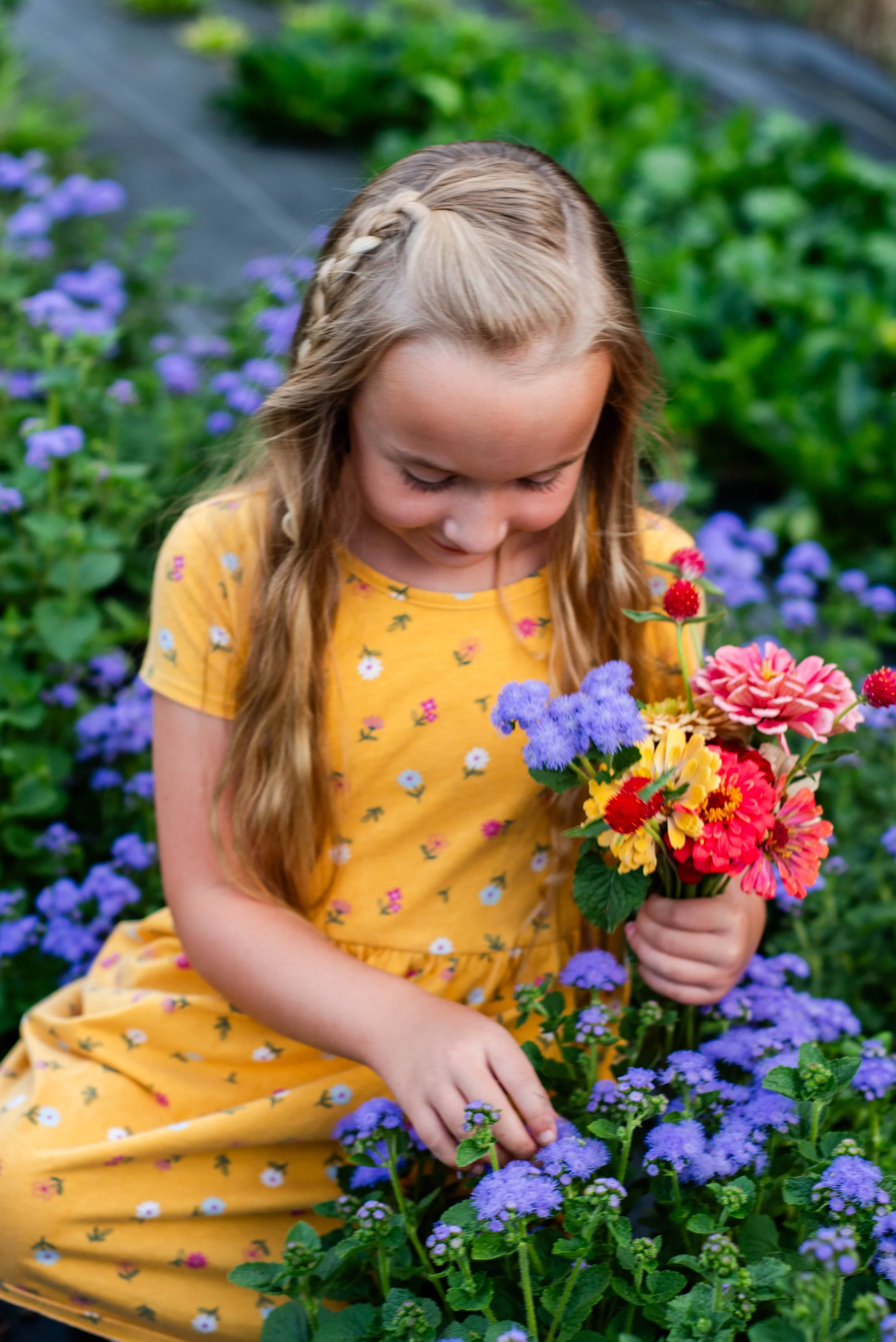 HeirbloomAcres-41.jpg