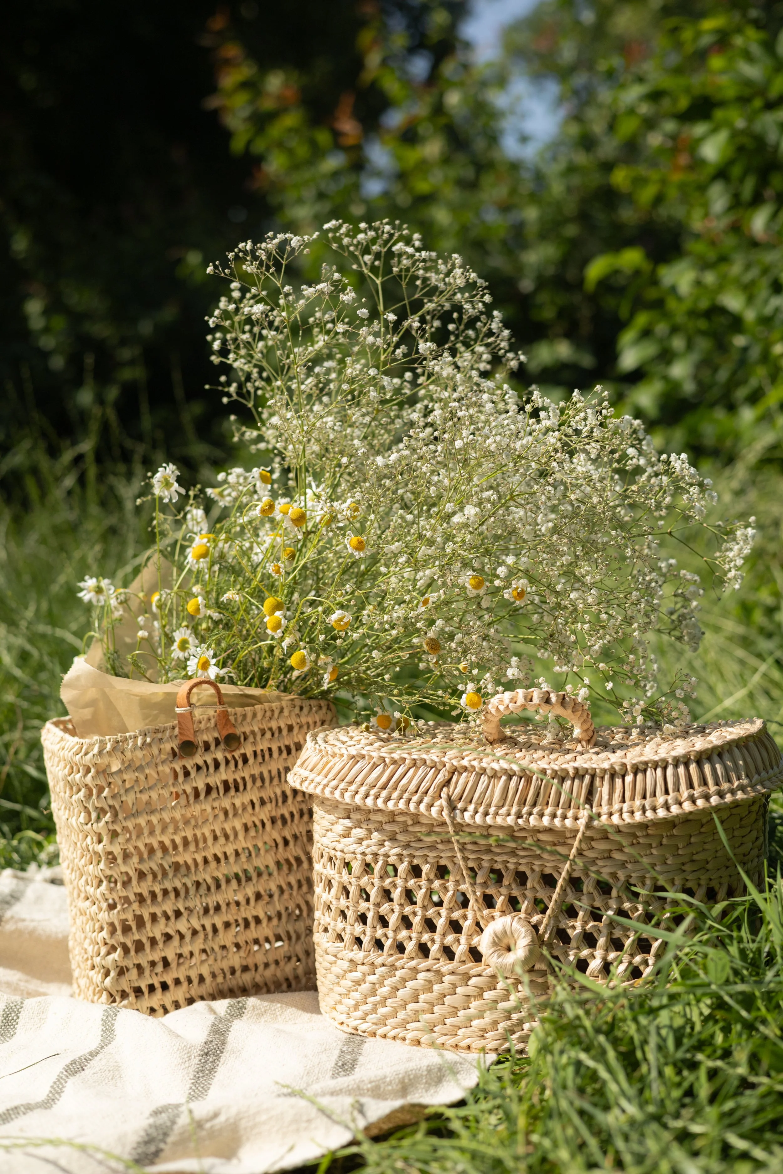 picnic (113).jpg