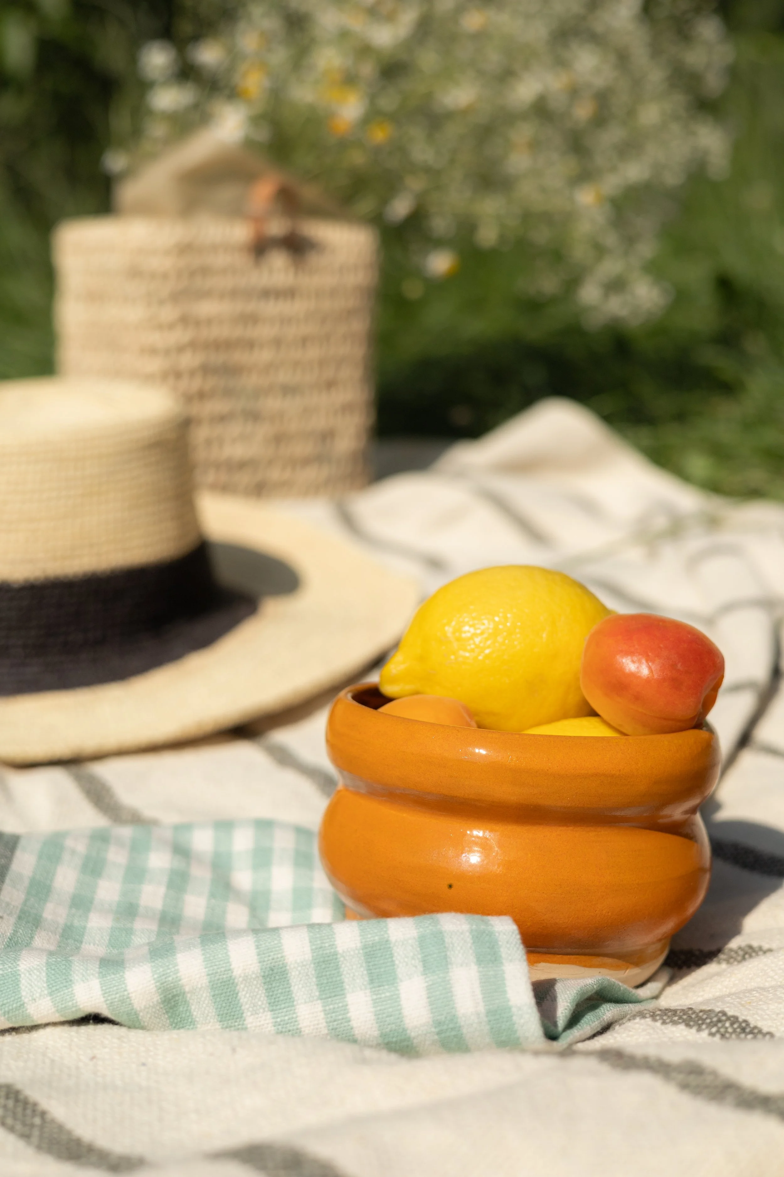 picnic (100).jpg