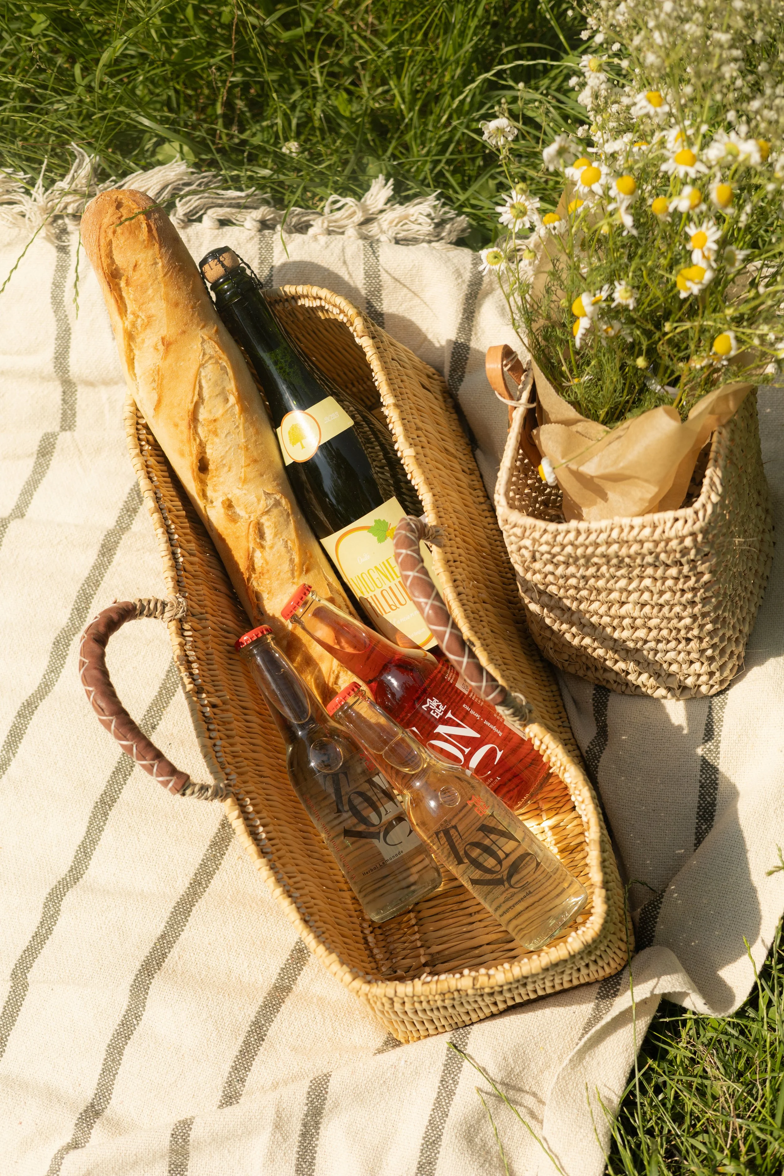 picnic (44).jpg