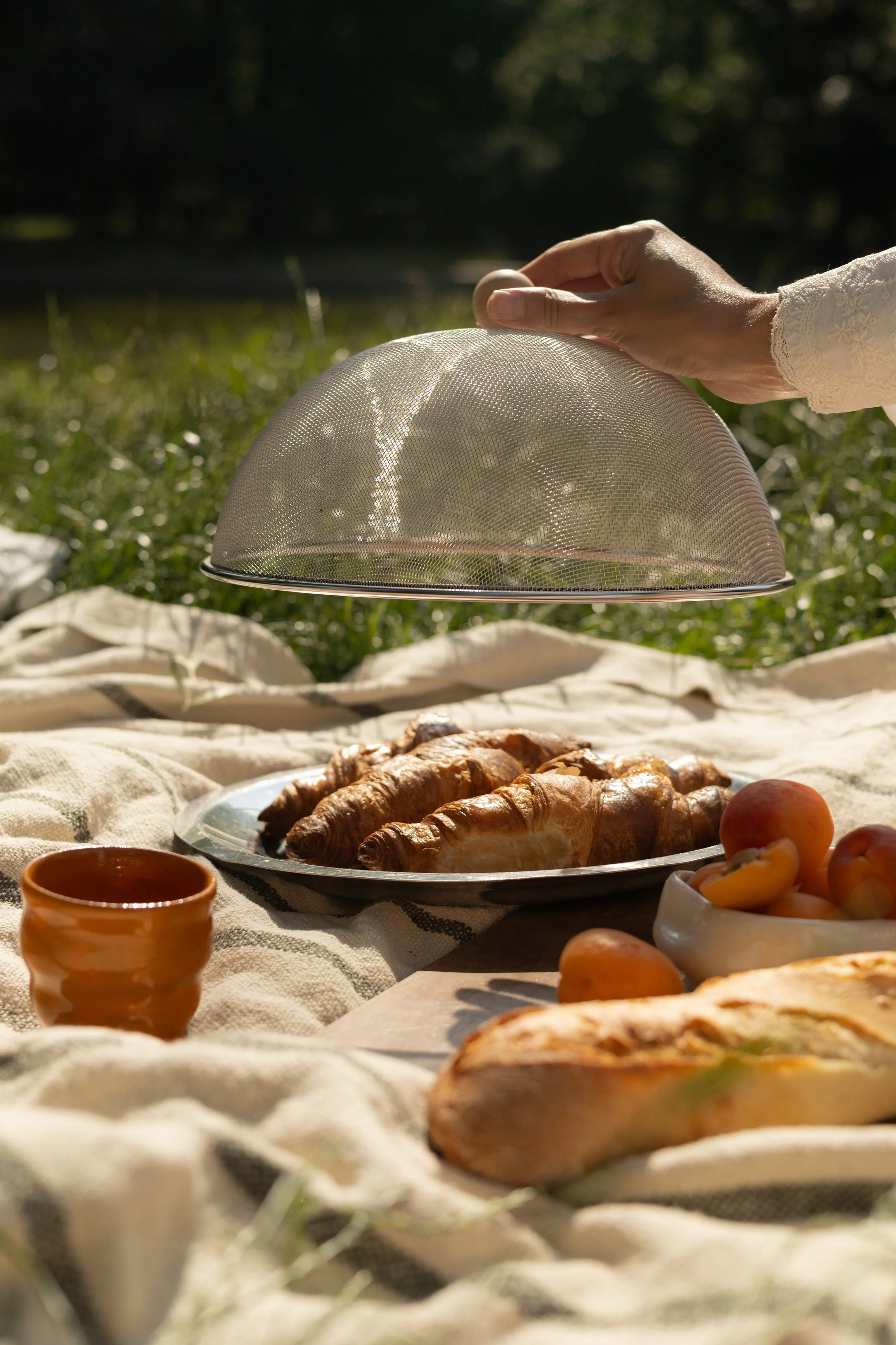 picnic (74).jpg