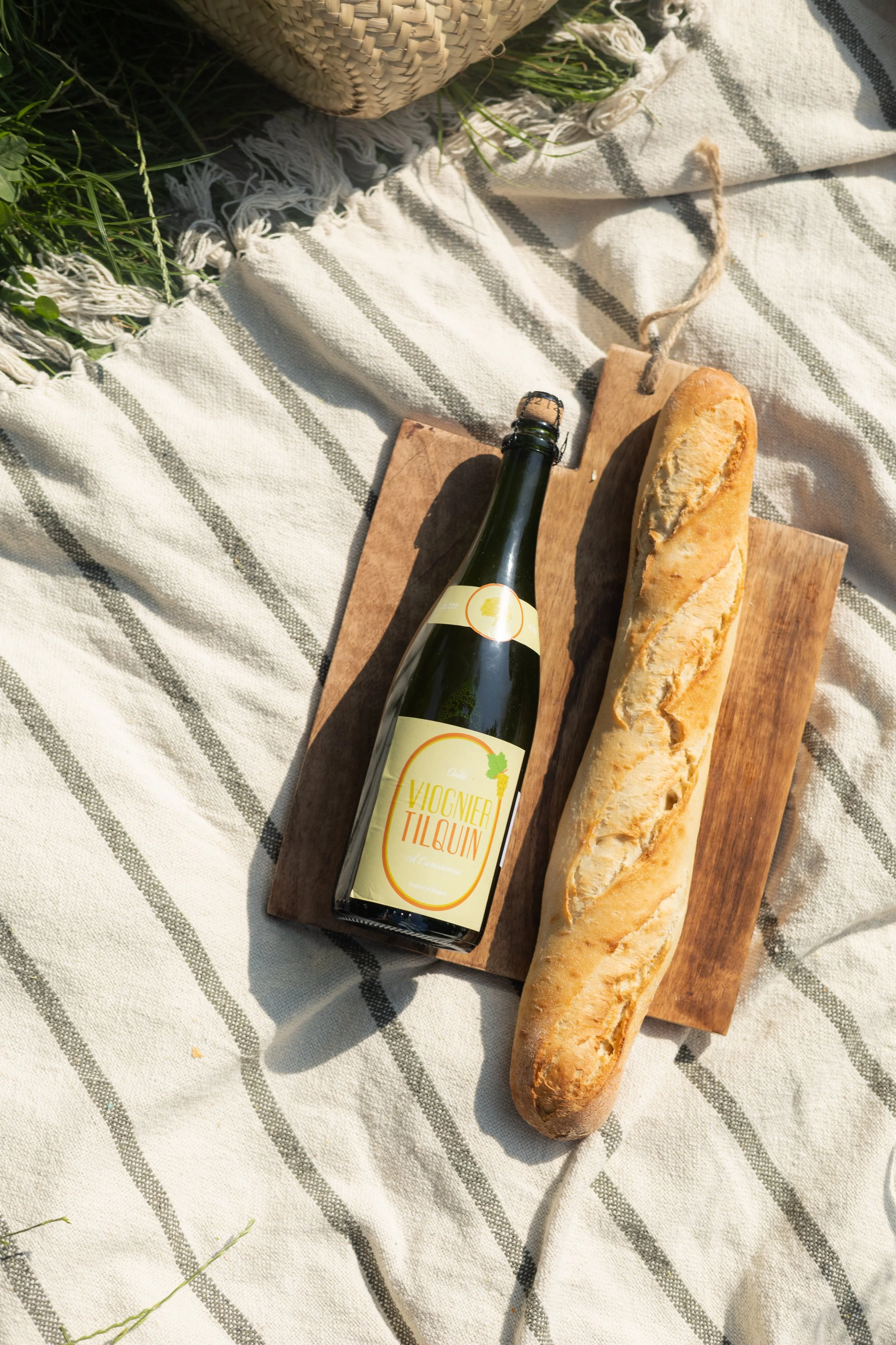 picnic (133).jpg