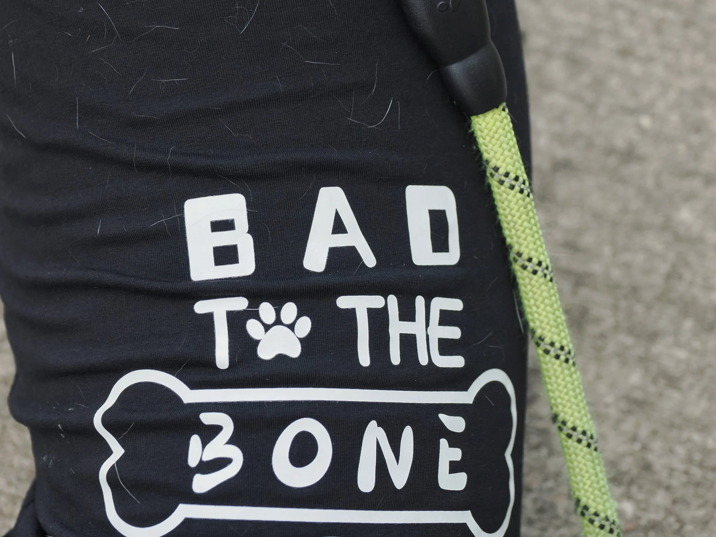 Close-up of a black bag with a yellow and black striped strap. The bag has white text and a paw print graphic, with the word 'BEAR' partially visible.