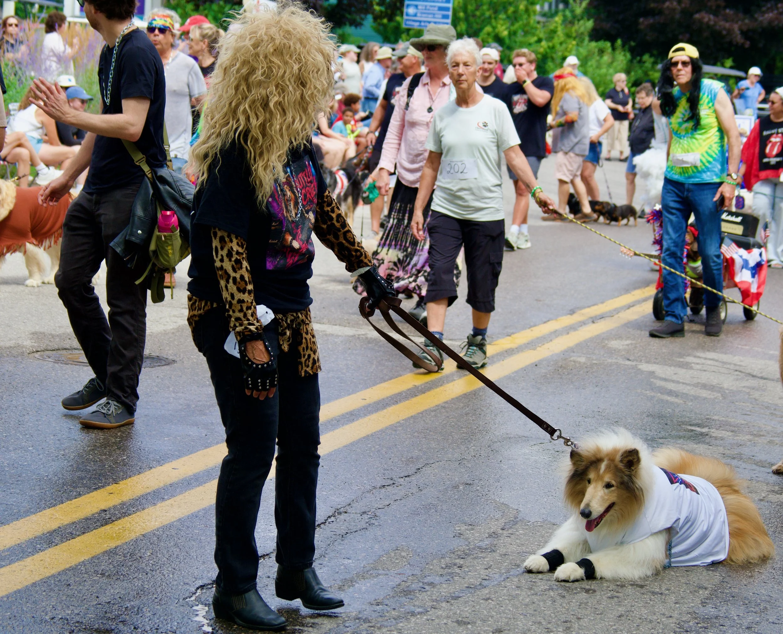 People walking their dogs at an outdoor event on a street with trees in the background.