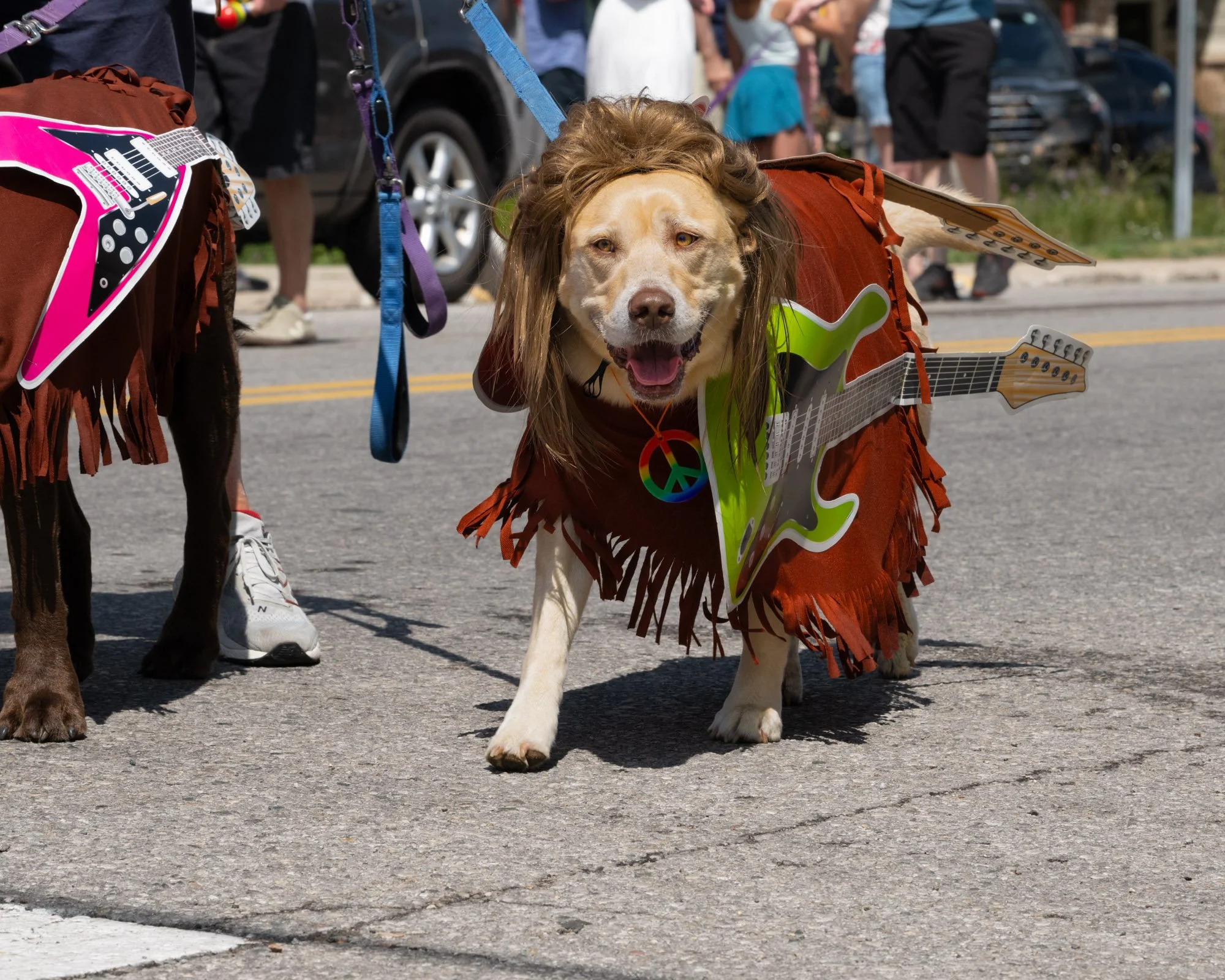 Dog w Wig and Guitar.jpg