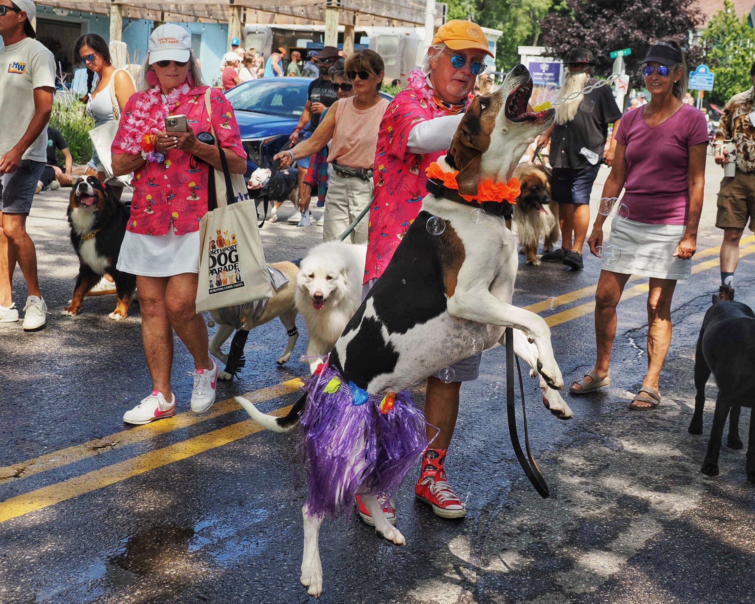 People participating in a dog parade, wearing colorful clothing and accessories, with multiple dogs including a large dog with a purple and yellow grass skirt and a dog wearing a lei. The event takes place outdoors on a street with onlookers and tree