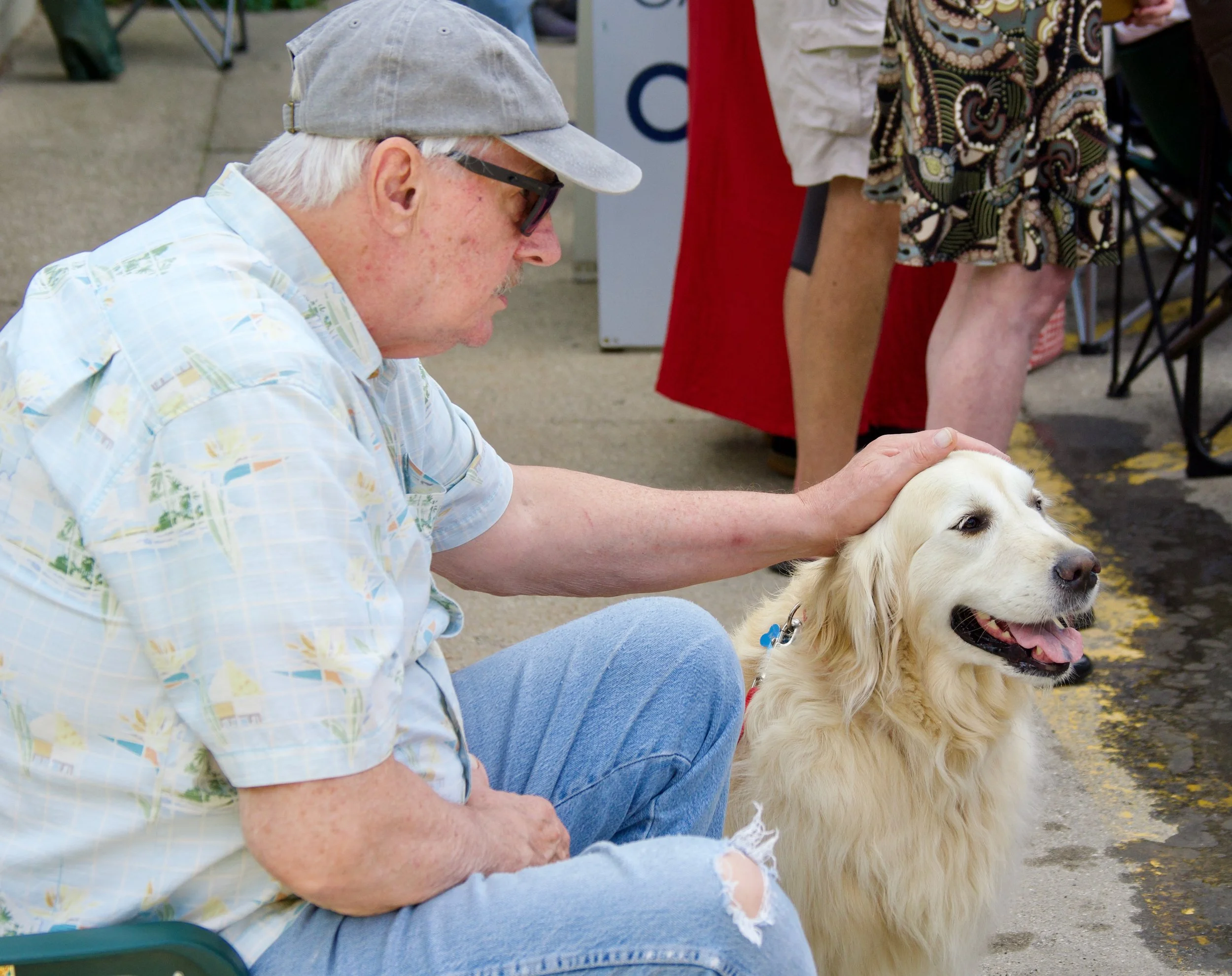 An elderly man with white hair, wearing a light-colored baseball cap, sunglasses, a patterned short-sleeve shirt, and ripped jeans, outdoors with a golden retriever. The man is petting the dog, who has a collar with a blue tag.