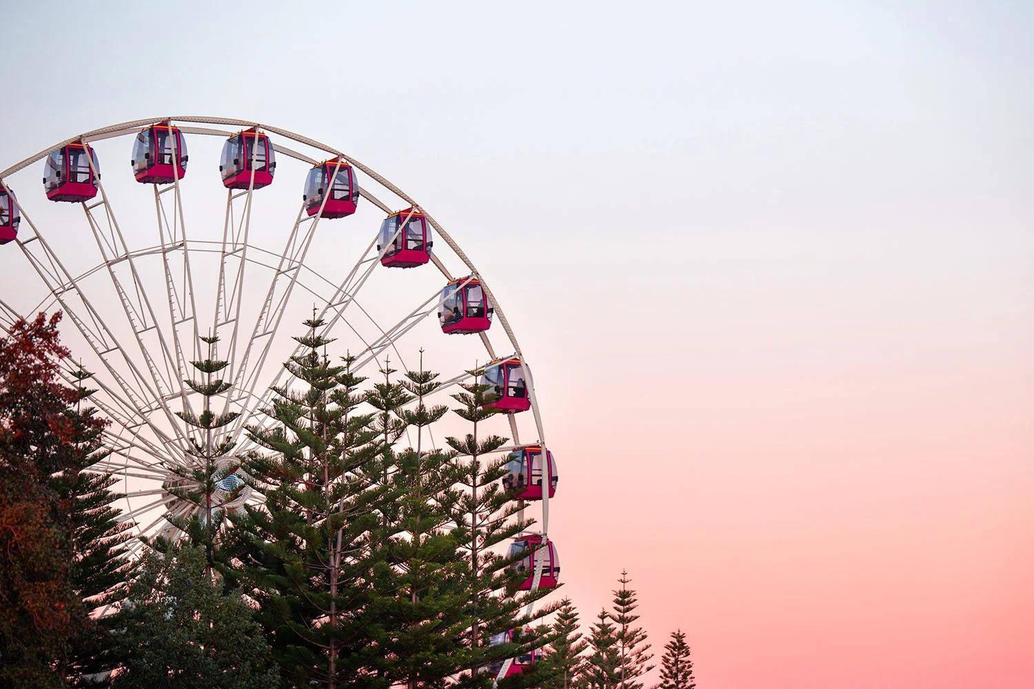 Ferris wheel Fremantle set against a sunset, with pine trees in the foreground. Showing location of Firefly Financial Advisors.
