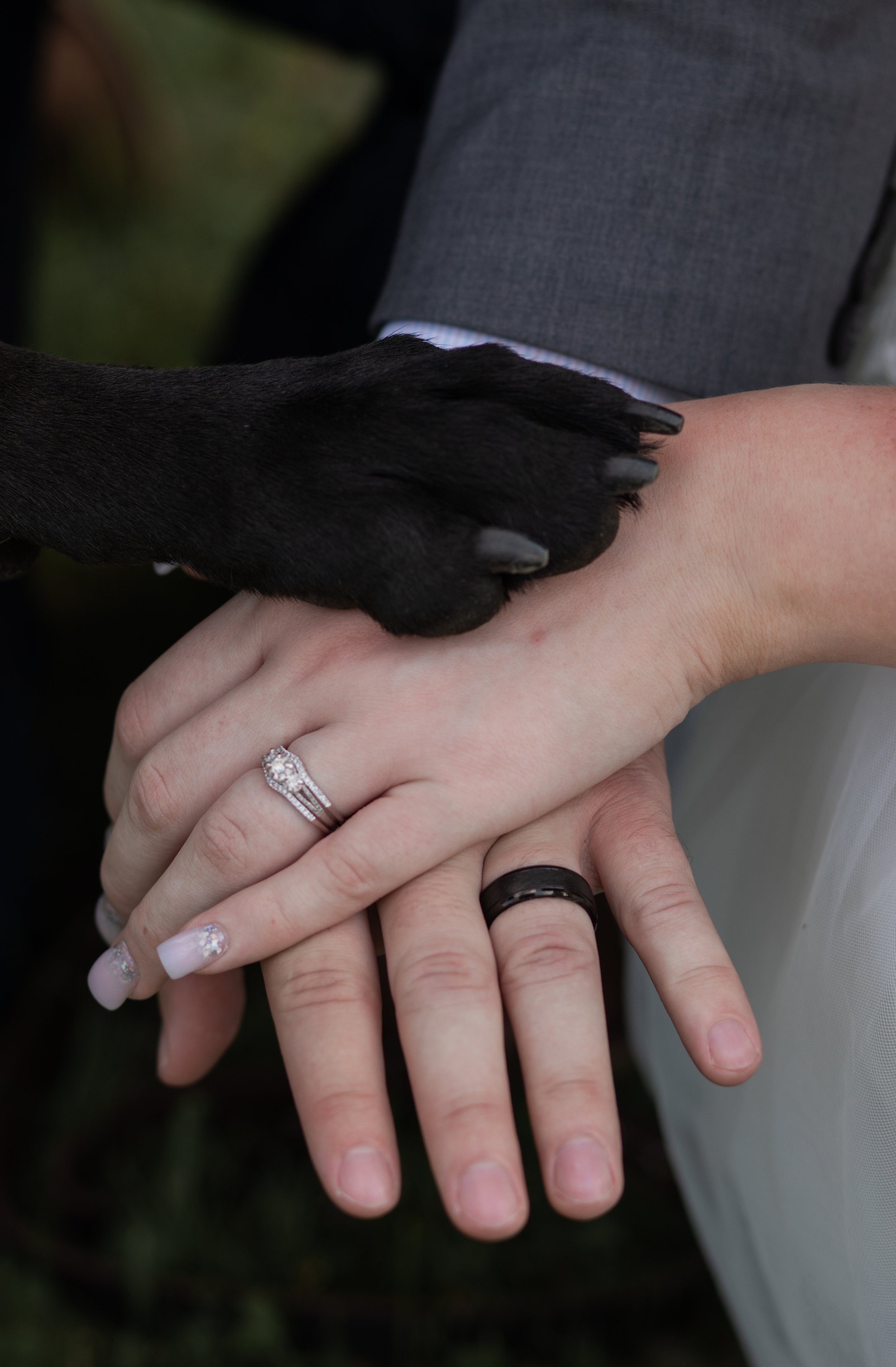 A close-up of two hands with wedding and engagement rings, one with a diamond, held together beneath a black dog’s paw resting on one arm, against a blurred outdoor background.
