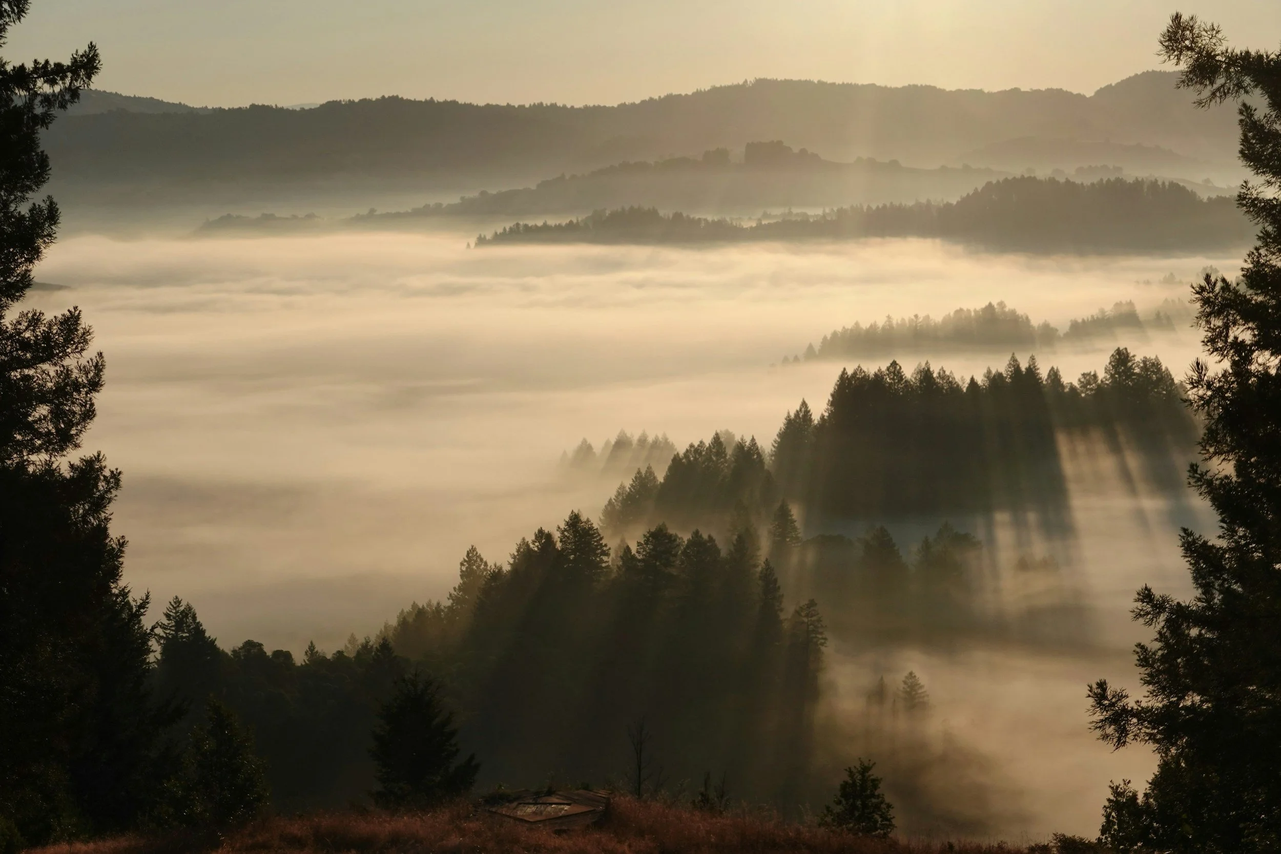 Staying Present: A January Invitation&nbsp;