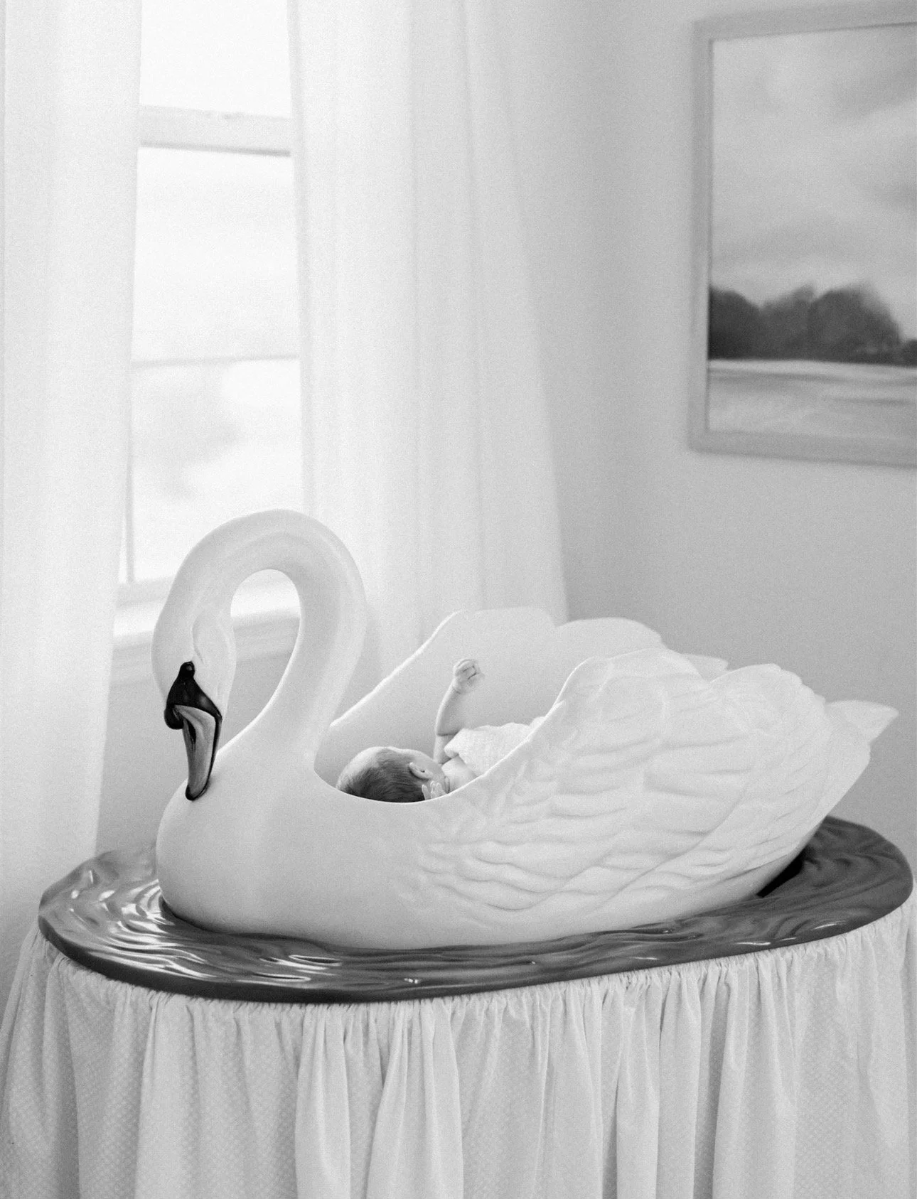 Why You’re Suddenly Seeing Swans Everywhere