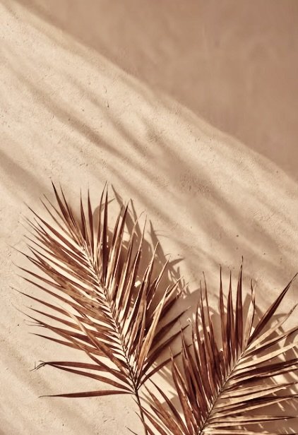Red-light full body Bed, Cryo Dry Body Float, Lymphatic drainage compression massage, Breathwork, Mornington