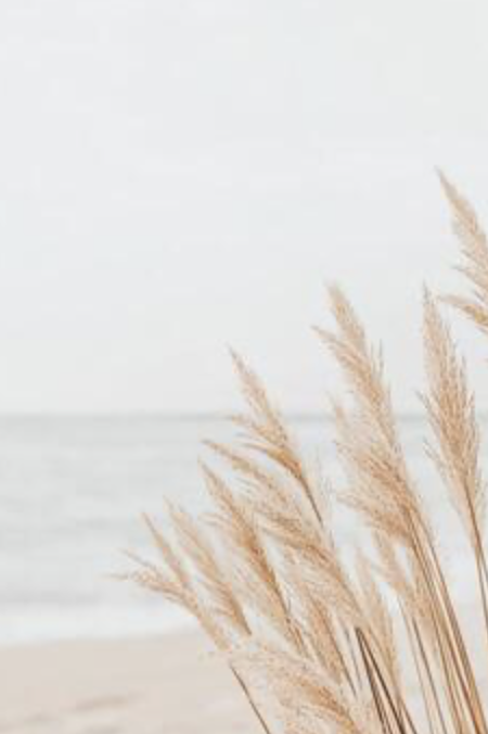 Image 8-7-2026 at 10.54 am.png