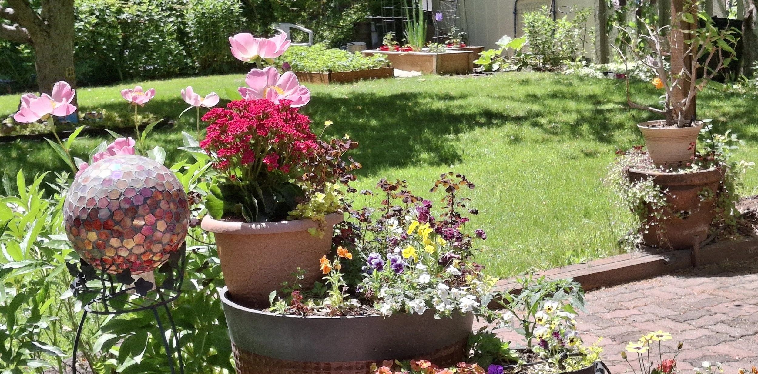 YARDENING - THE EDIBLE LANDSCAPE &amp; WONDER WEEDS