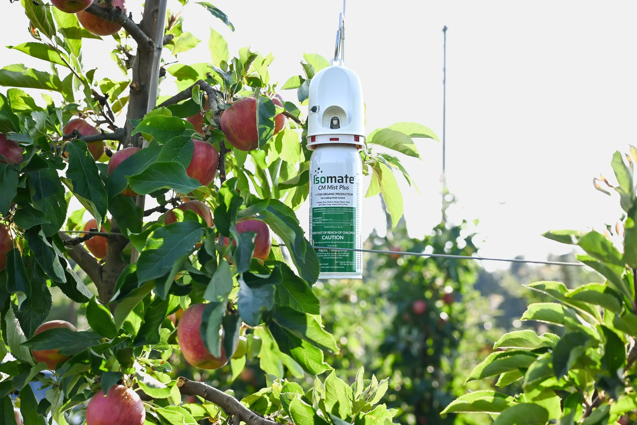 CM Mist Plus Red Apple Trellis 1.jpg