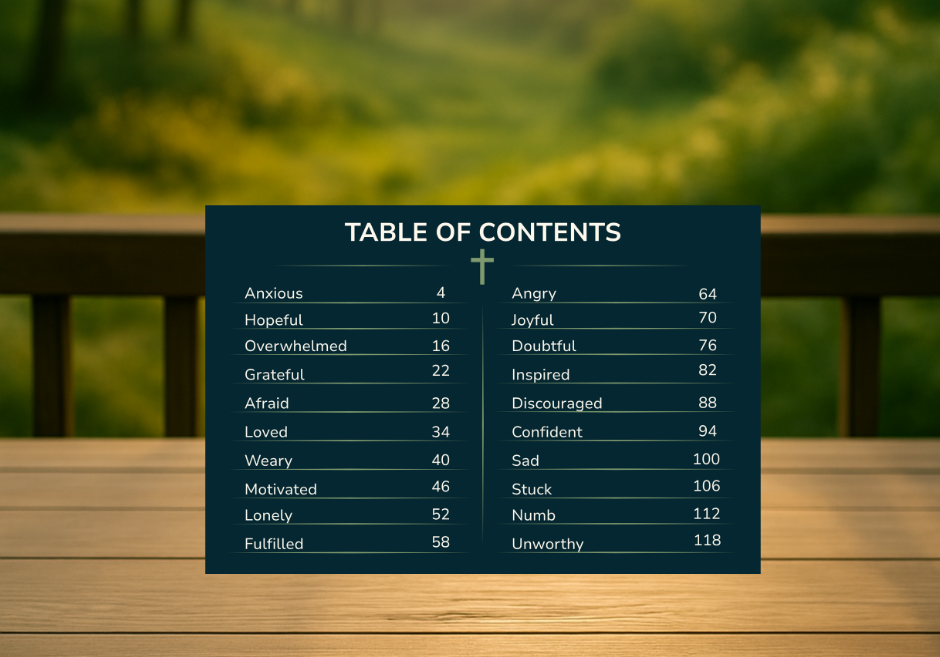 Table of contents for the In The Moment card deck, listing all 20 featured emotions such as Anxious, Grateful, Joyful, Sad, and Confident with corresponding page numbers.