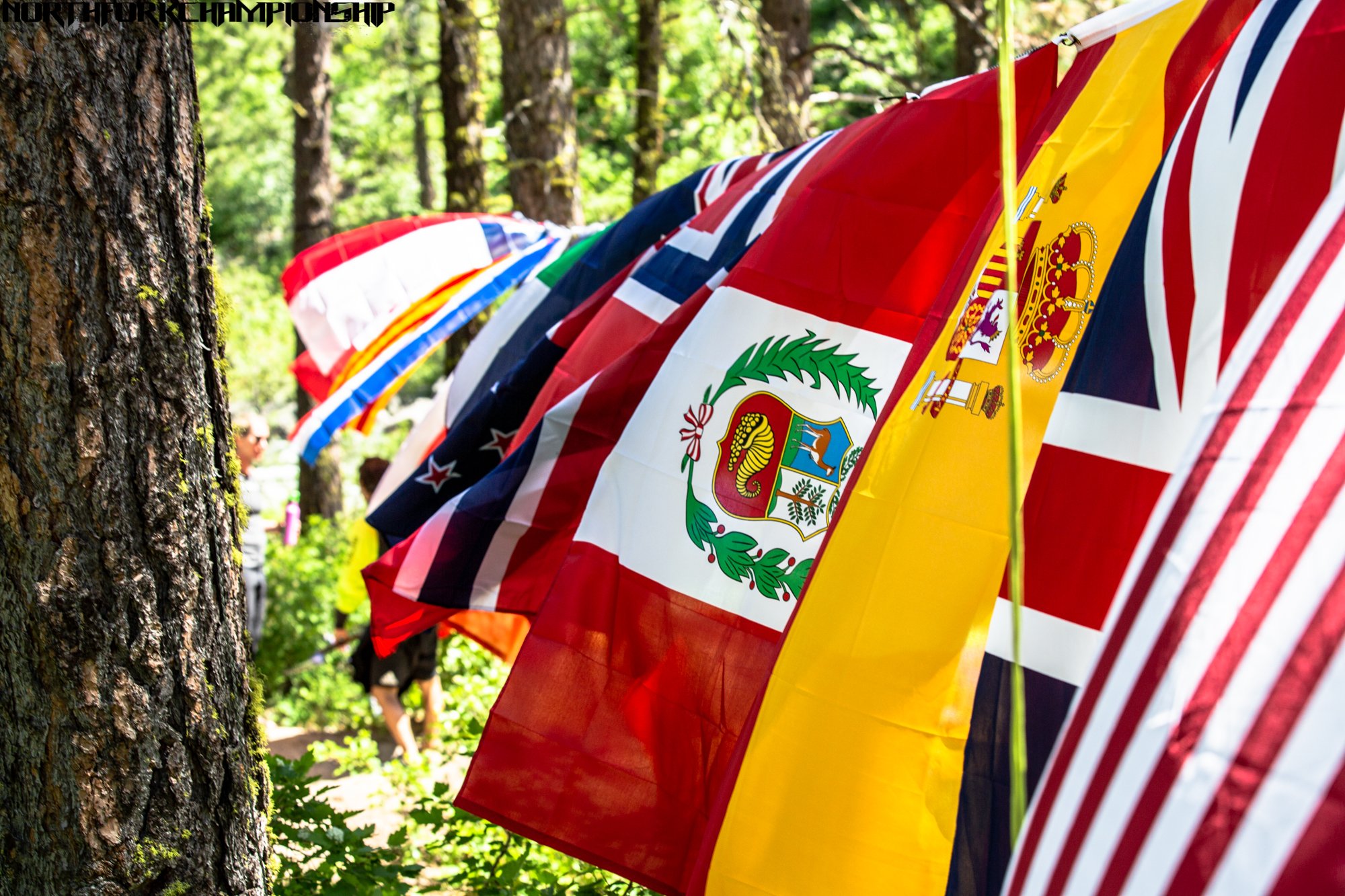 international flags.jpg