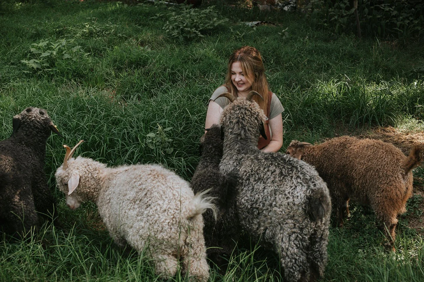 Heritage in the Making: Welcoming Our First Livestock to the Farm
