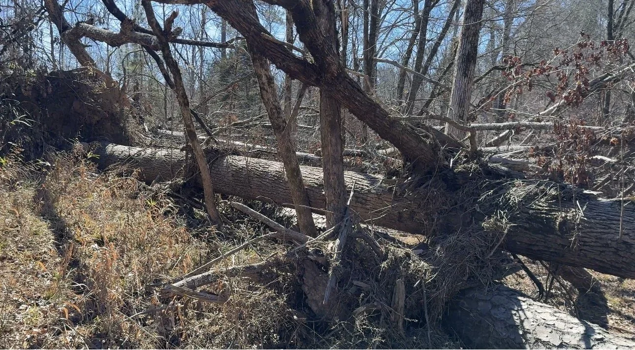 What Is the EFRP? How We Applied After Hurricane Helene