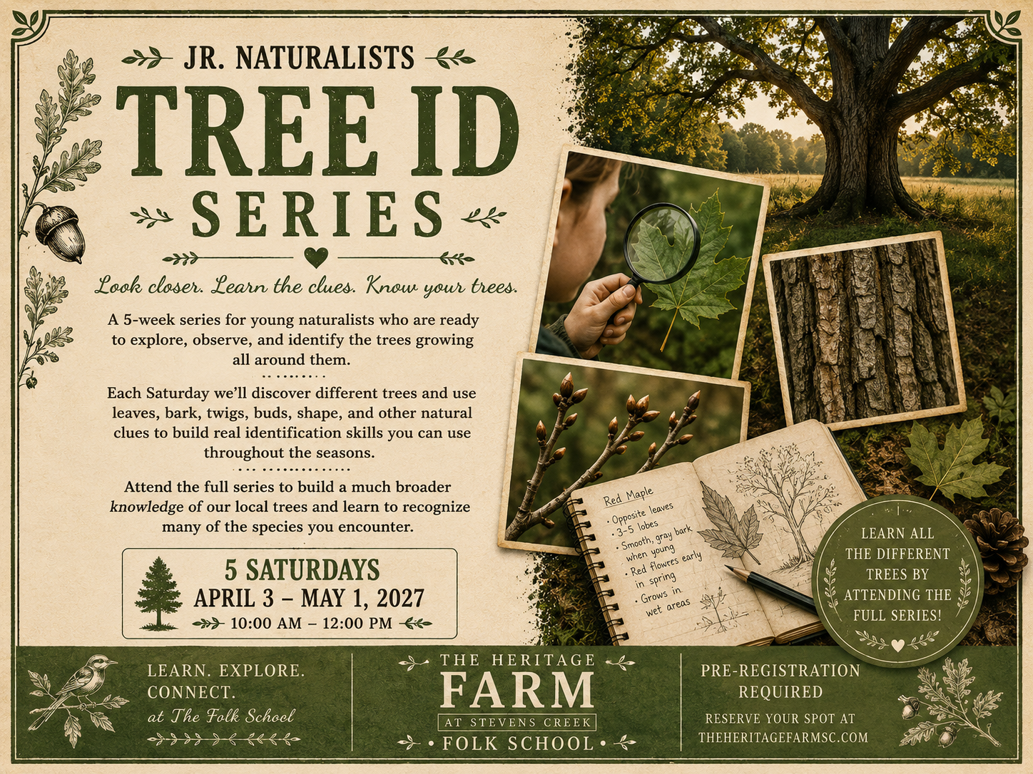 treeseries.png