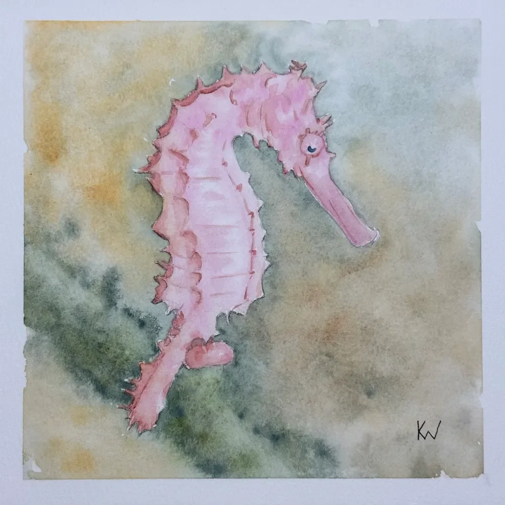 Longnose Seahorse by Kelley Whitley.