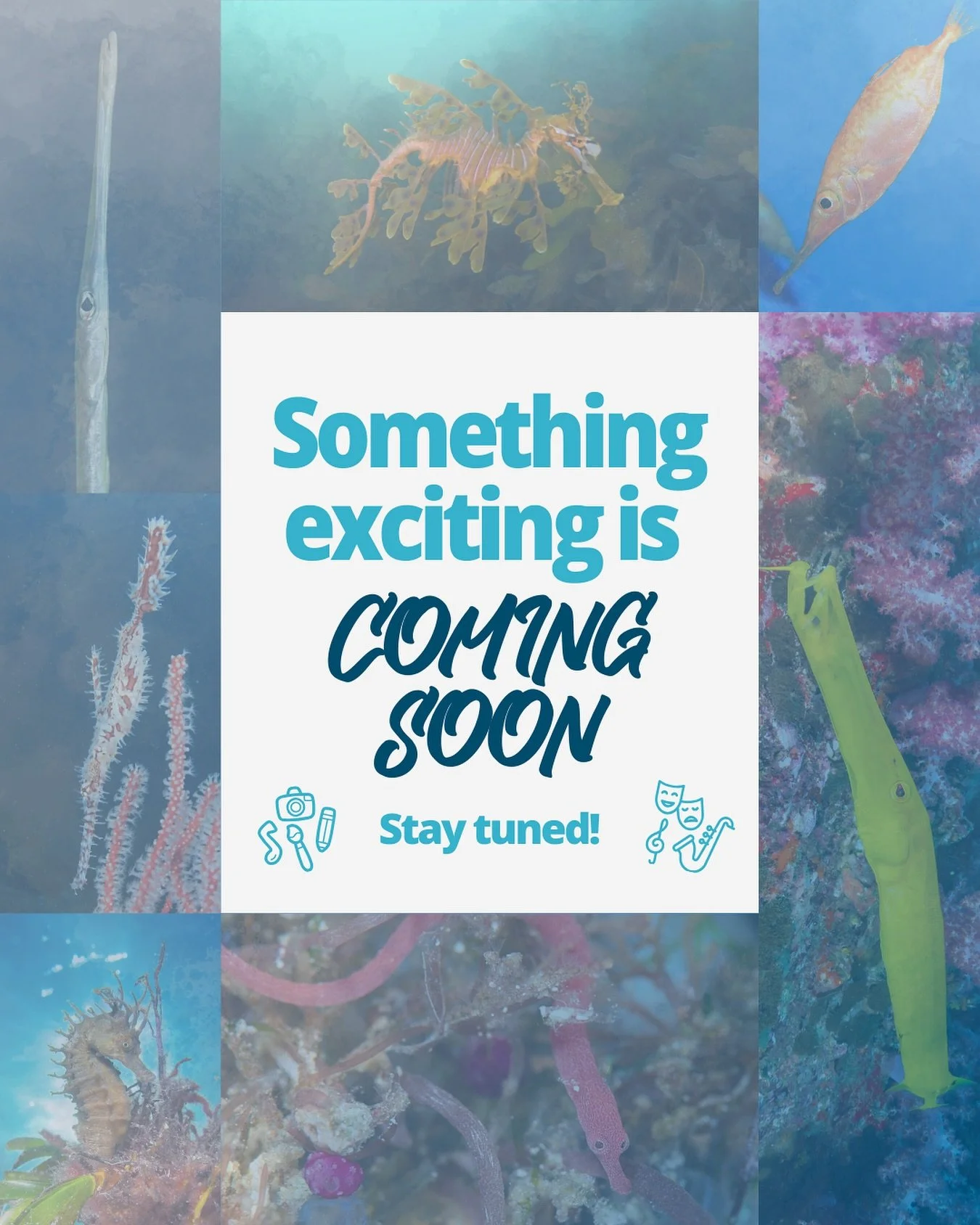 🌊 A wave of arts inspired by #IconicFishes is on its way 👀 Stay tuned for more!
.
.
.
Photo credits: 
Seahorse: &copy;️Serge Ego / Guylian SOTW
Pipefish: &copy;️Richard Smith / OceanRealmImages
Ghost pipefish: &copy;️ Rich Carey / Shutterstock
Trum