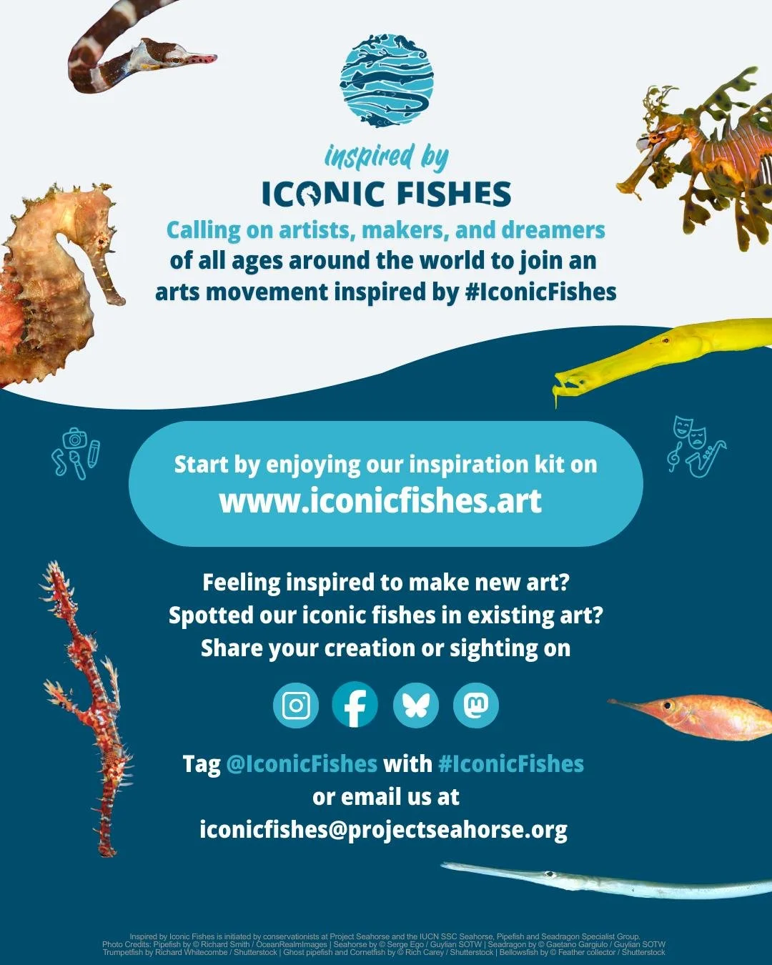 Whether you paint 🎨, dance 💃, doodle ✏️, weave 🧵, write ✍️, design jewellery 💎, compose music 🎶, build Lego 🧩, cut potato prints 🥔or create in ways we haven&rsquo;t even imagined, this is your invitation to join &quot;Inspired by #IconicFishes