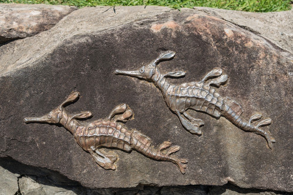 Two weedy seadragons rest gracefully on a rock at Shelly Beach, Australia &mdash; a striking tribute to these magical fishes and close cousins of the seahorse. The artist certainly was inspired by our #IconicFishes 😉.

Feeling inspired, too?
🎨 Expl