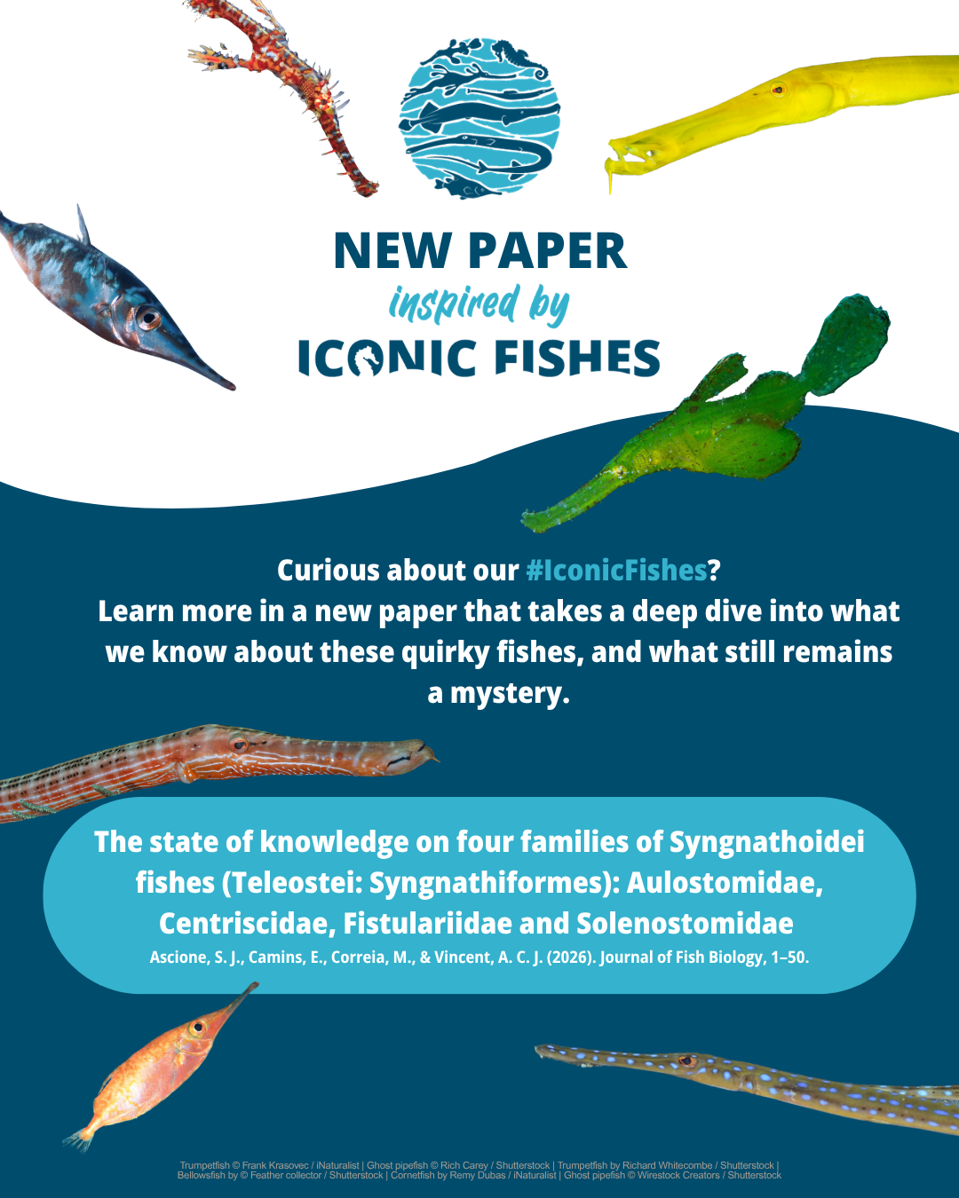 New paper inspired by #IconicFishes