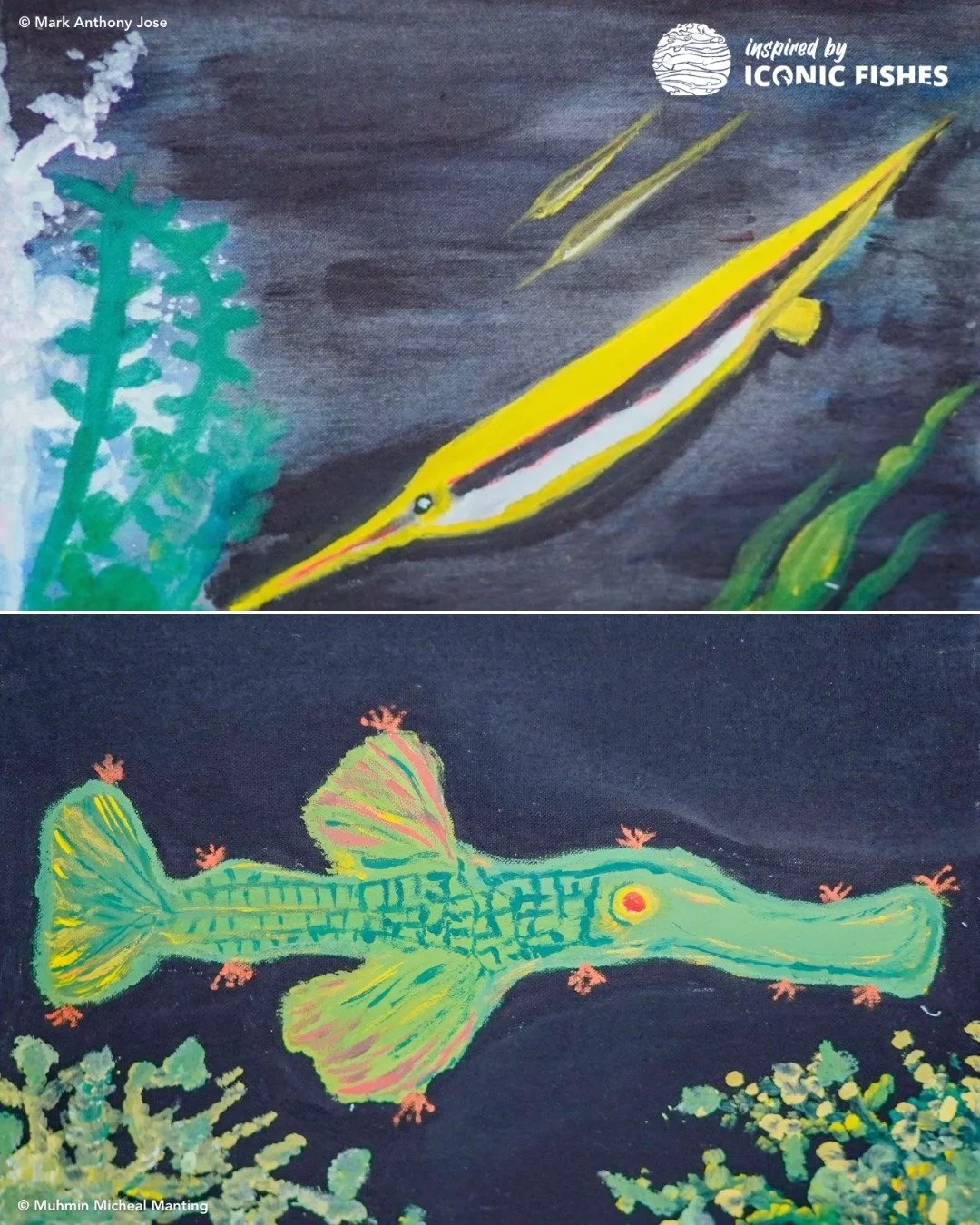 ✨ Spotlight on pipefishes ✨ 

This stunning pair of artwork showcase the incredible diversity of the pipefish family. 

On top, Mark Anthony Jose captures the elegant, sleek lines of the pipefish cruising through the coral reef. Below, Muhmin Micheal