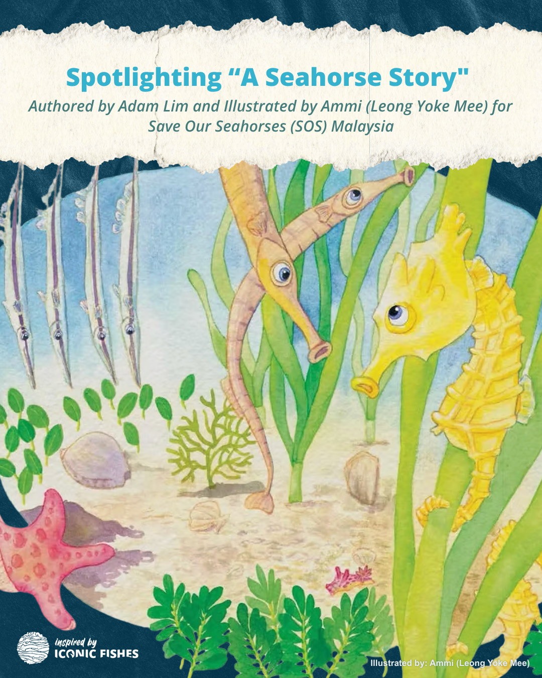 Spotlighting "A seahorse story" by Ammi and Adam, Malaysia