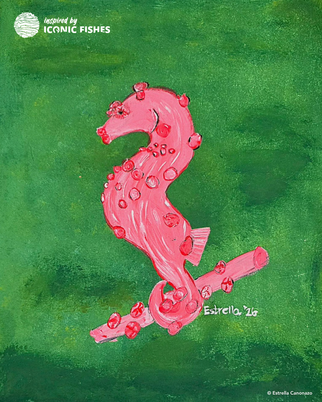 Pygmy seahorse by Estrella Canonazo