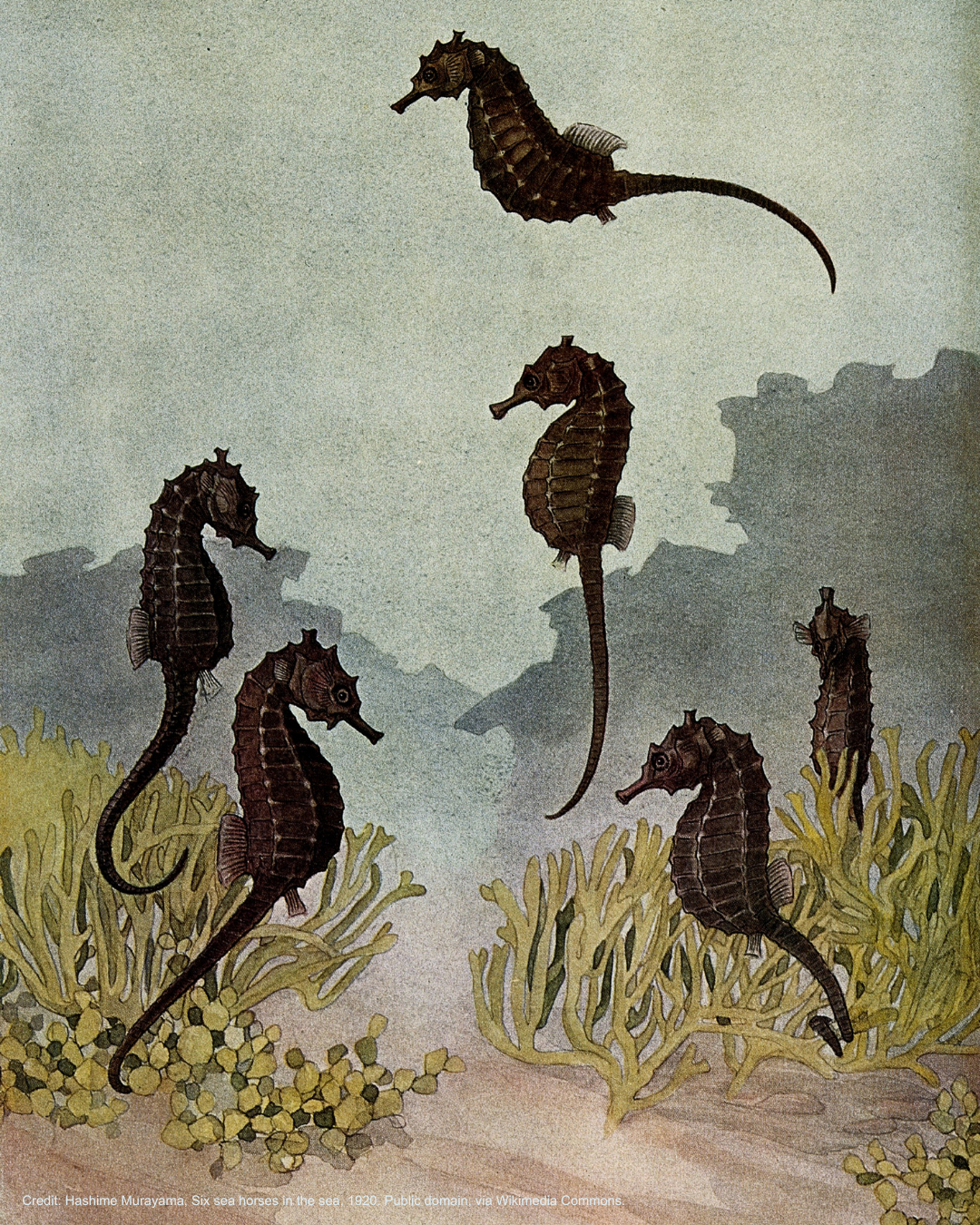 “Six sea horses in the sea” by Hashime Murayama