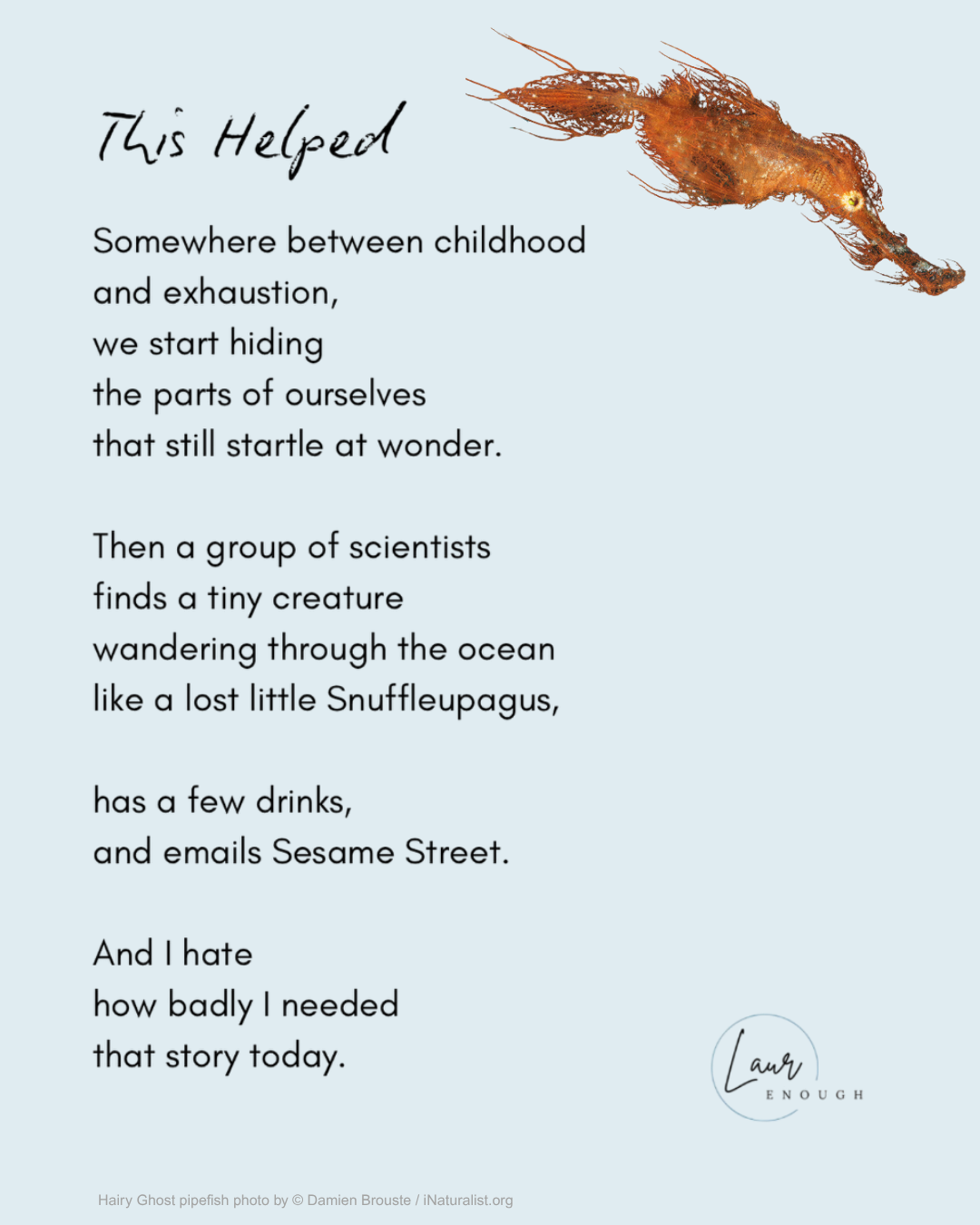 “This Helped” - A Poem Inspired by  #IconicFishes