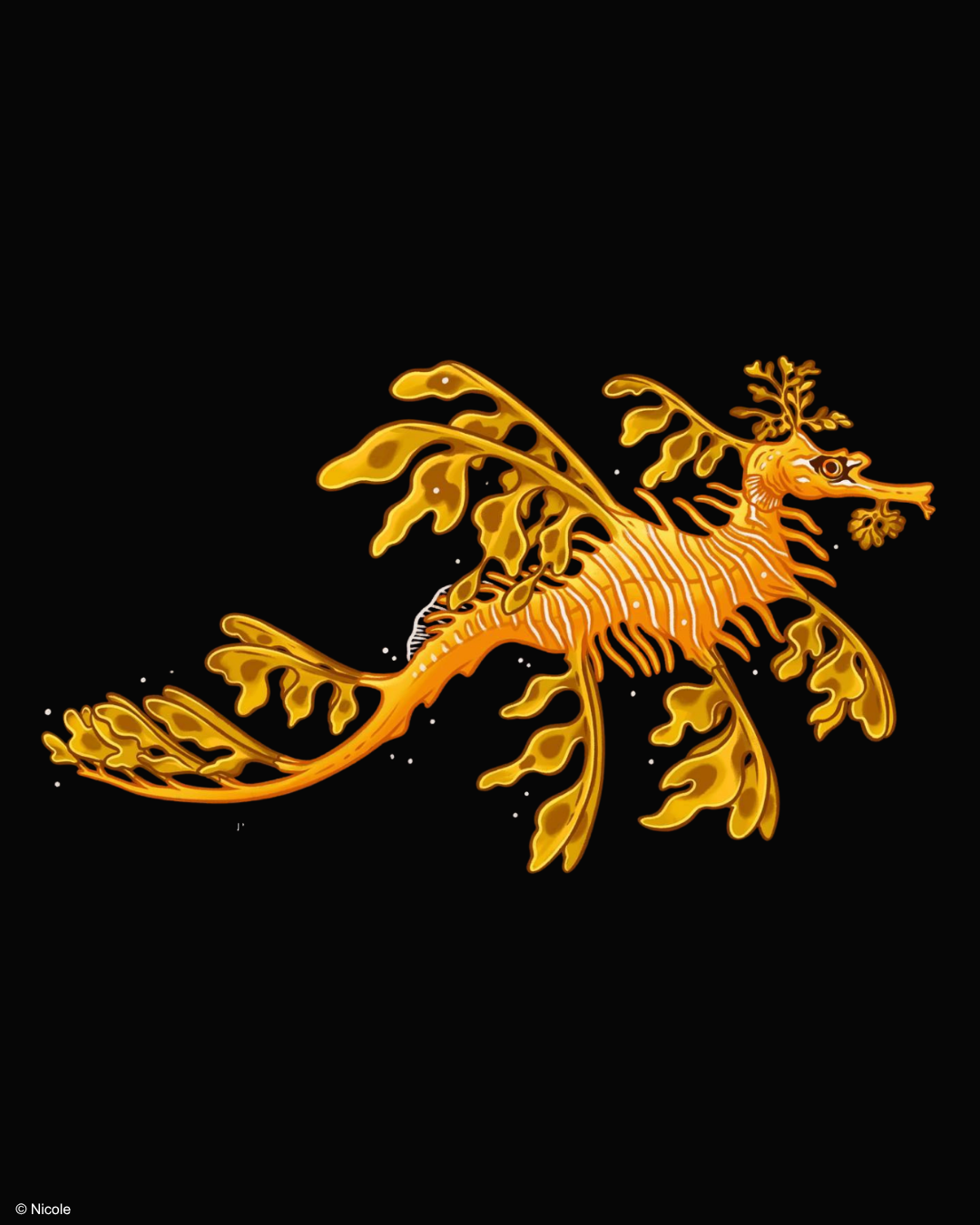 Leafy seadragon by fossil forager